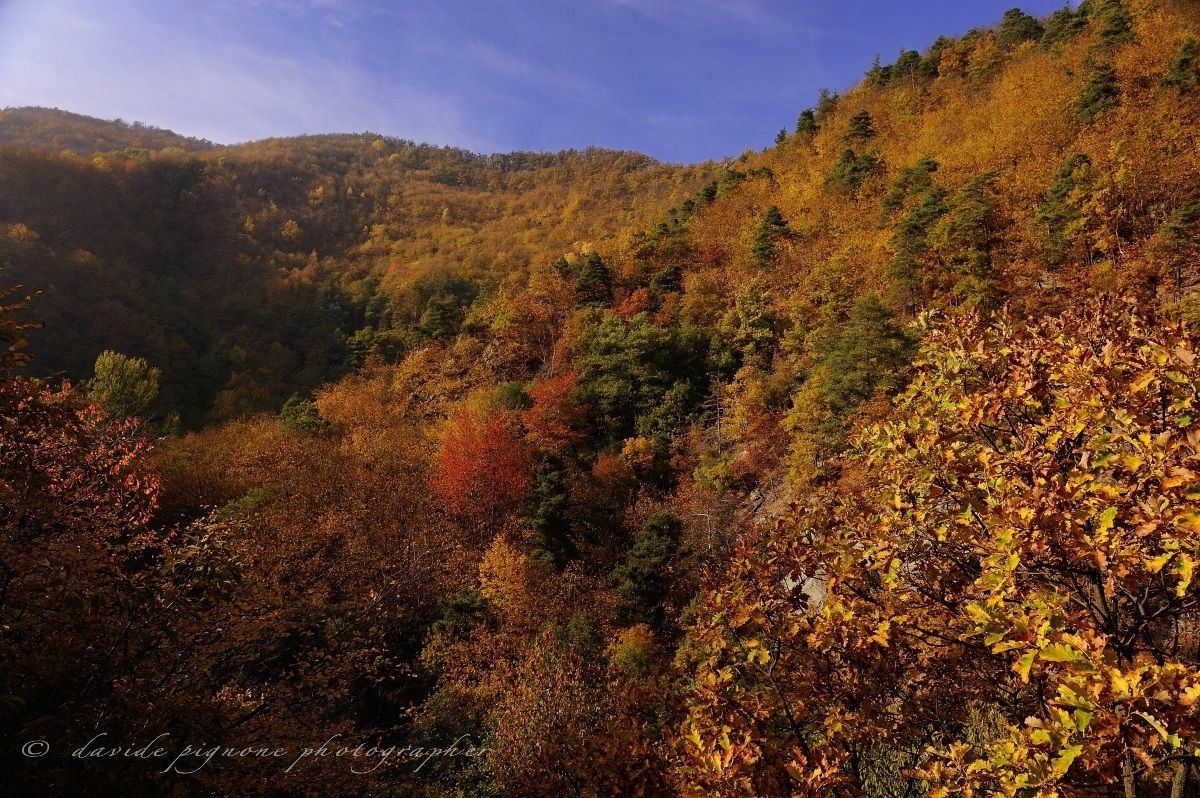 autunno sull'appennino ligure