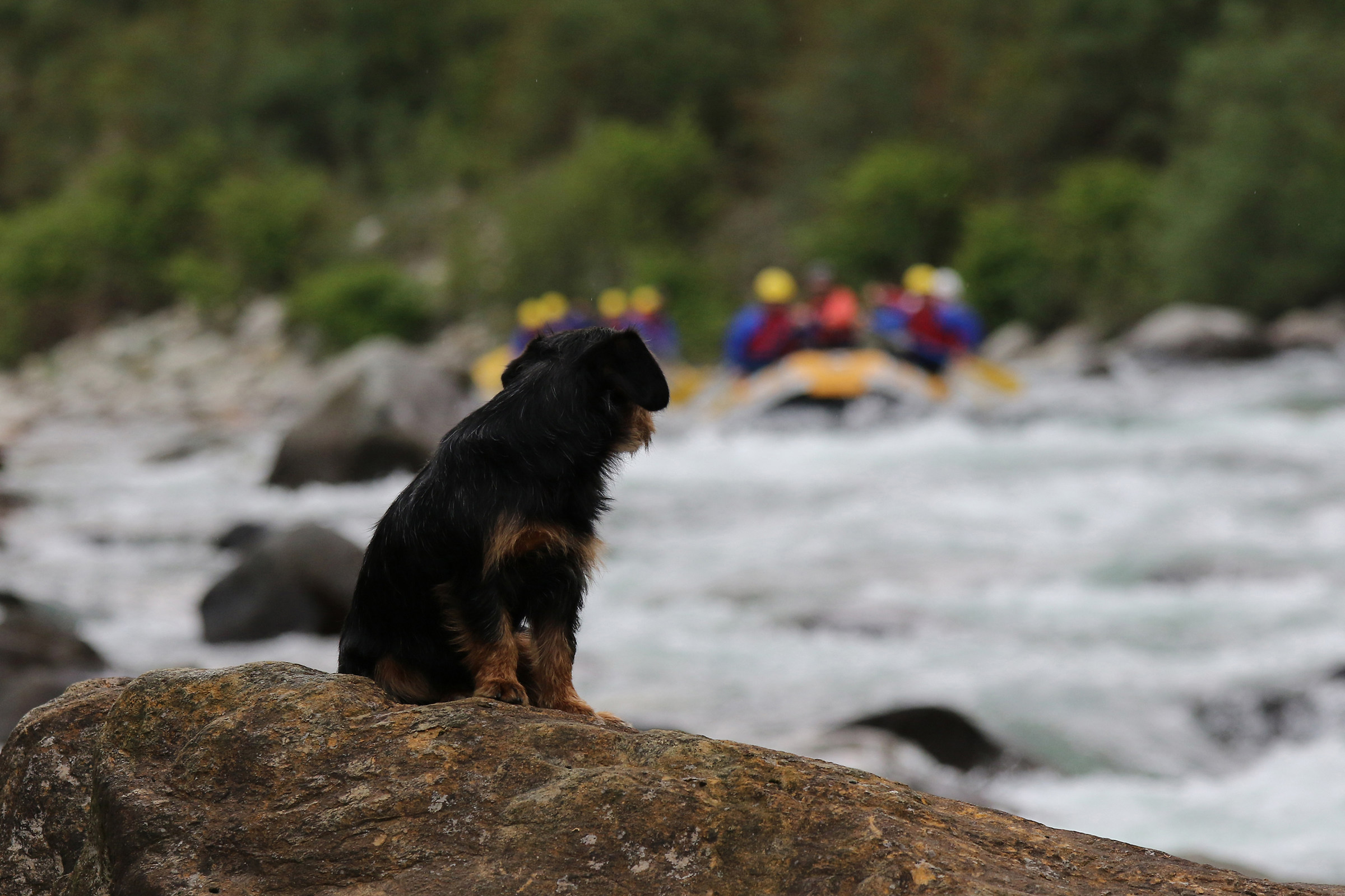 race rafting ..spettatore unusual ...