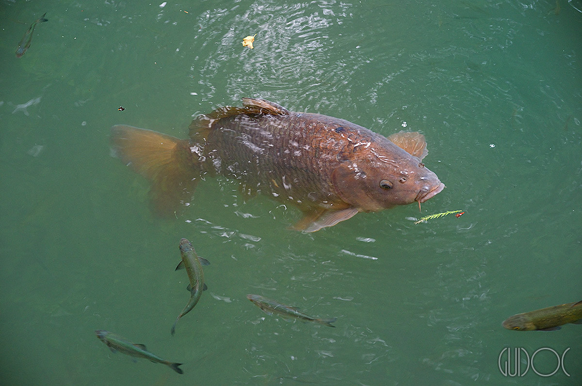 E mo' ...me te magno!