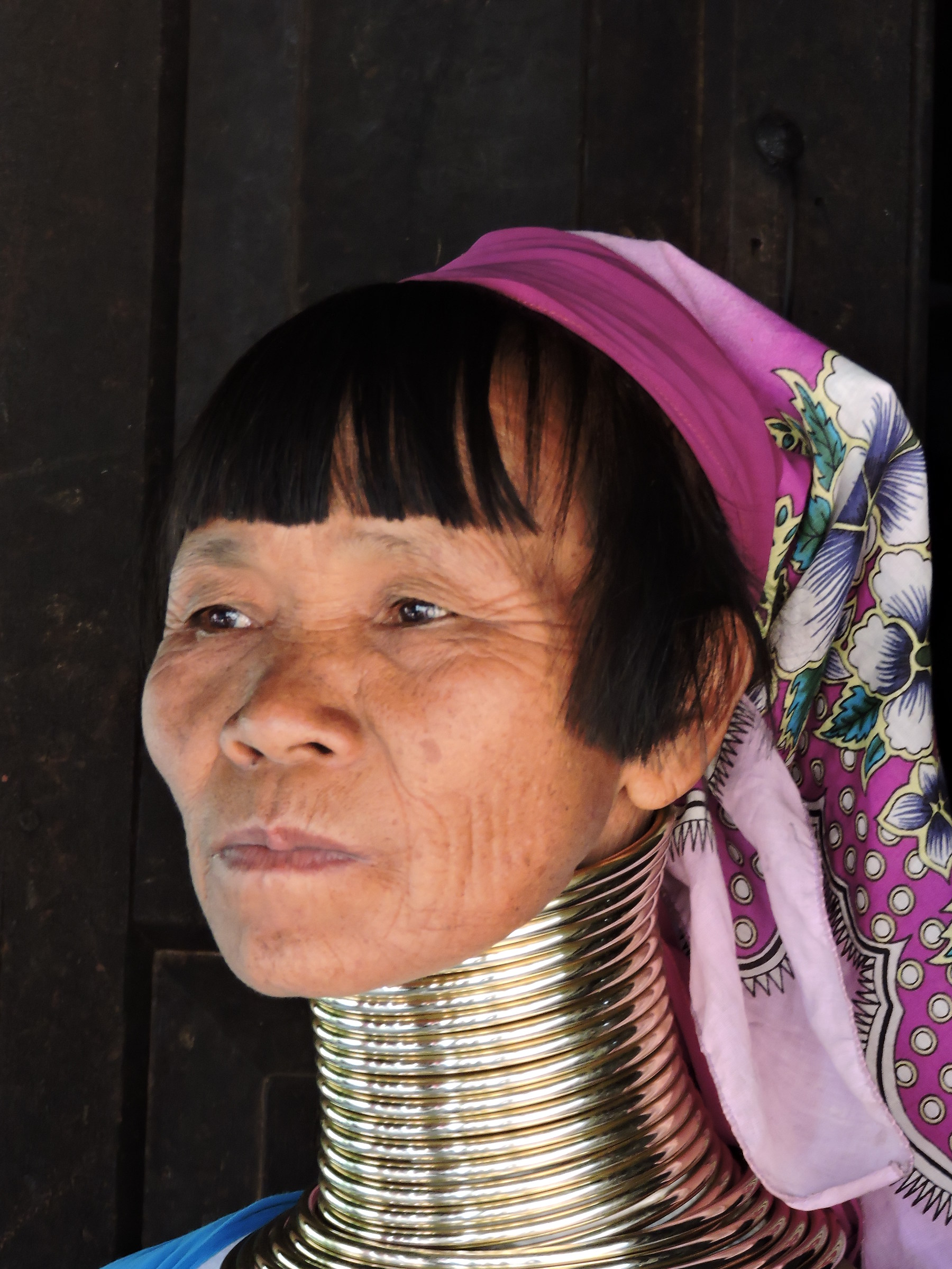 anziana donna giraffa