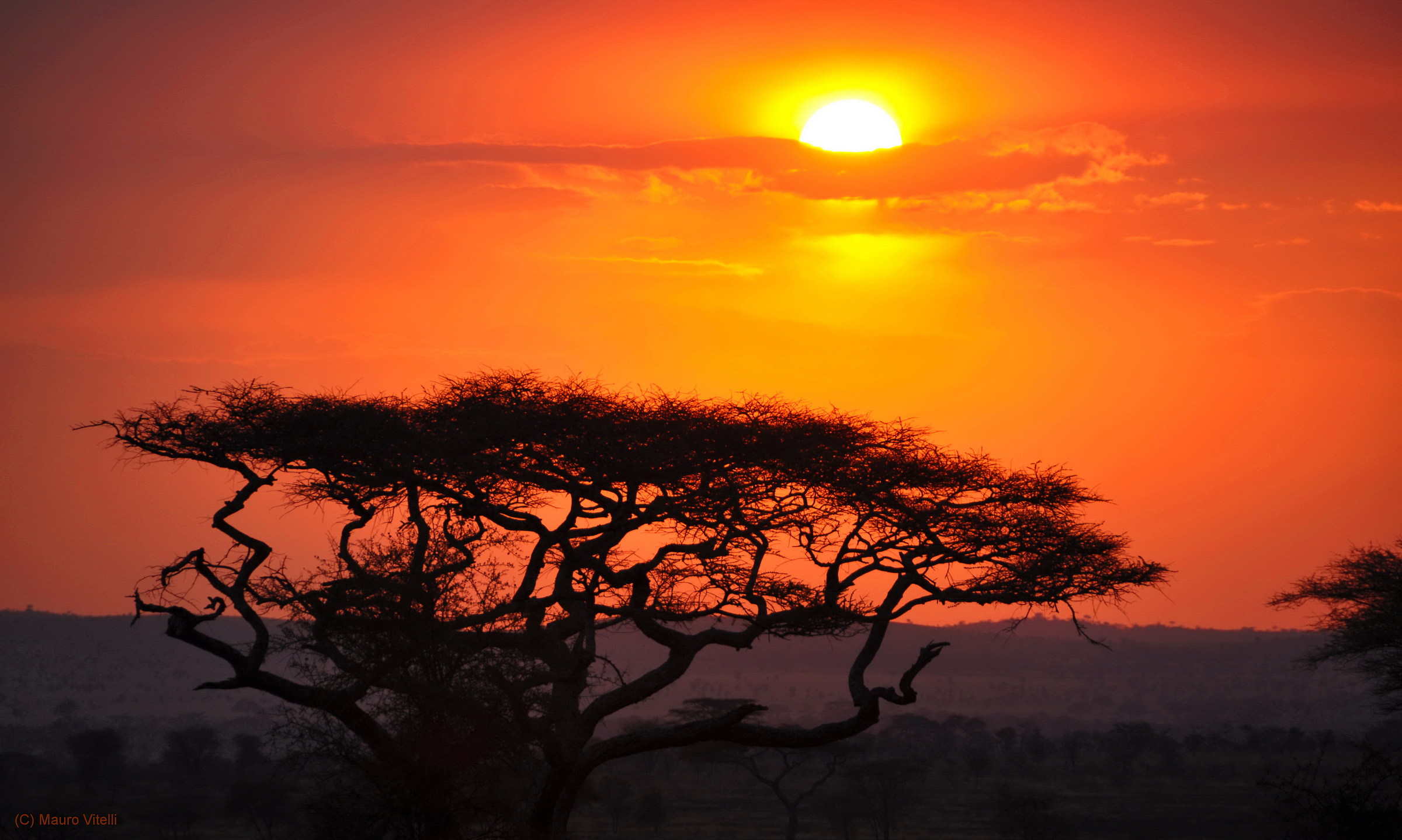 Sunset in the Serengeti