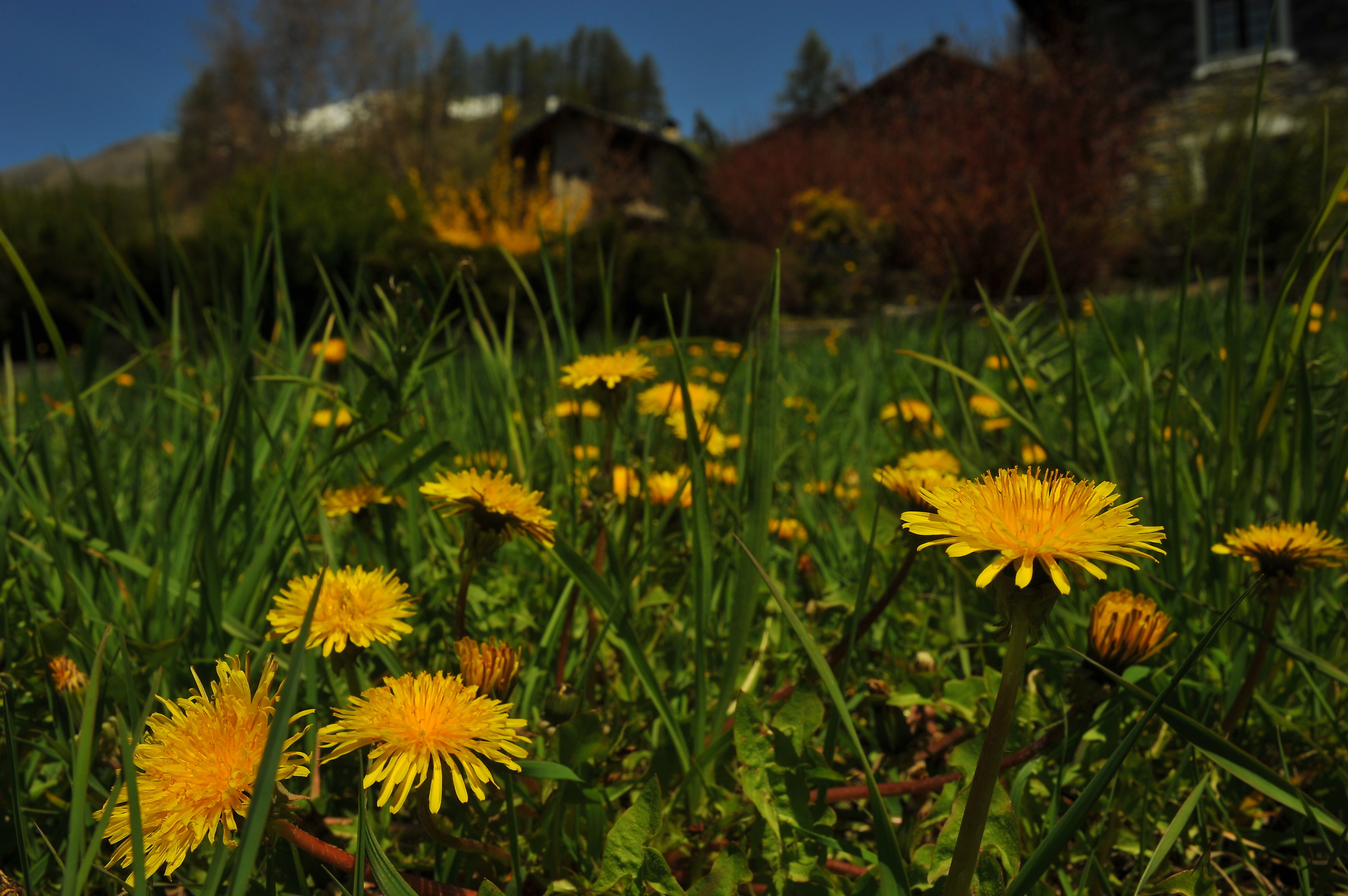 ... Winter is a memory