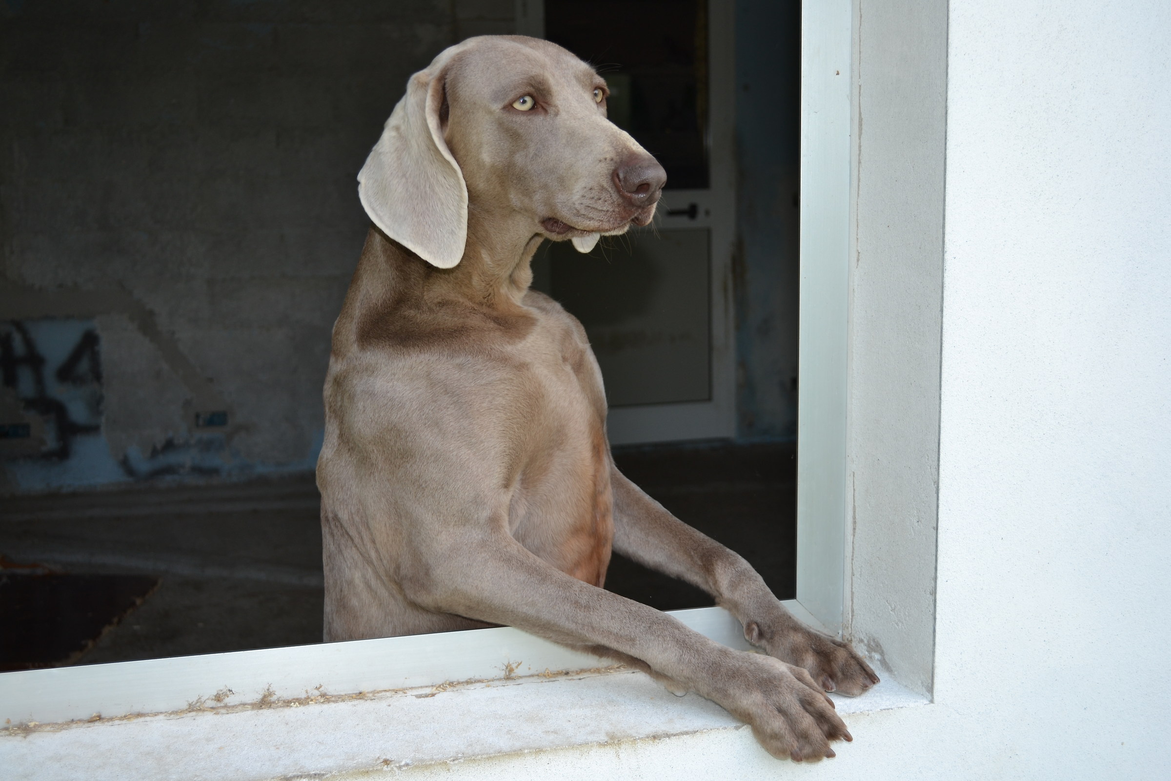 ufficio informazioni alternativo