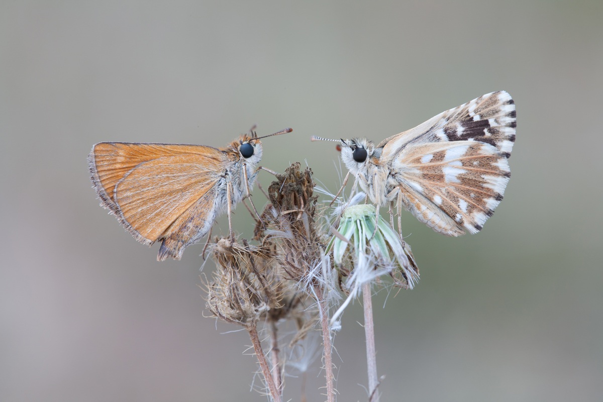 Young couple in the evening