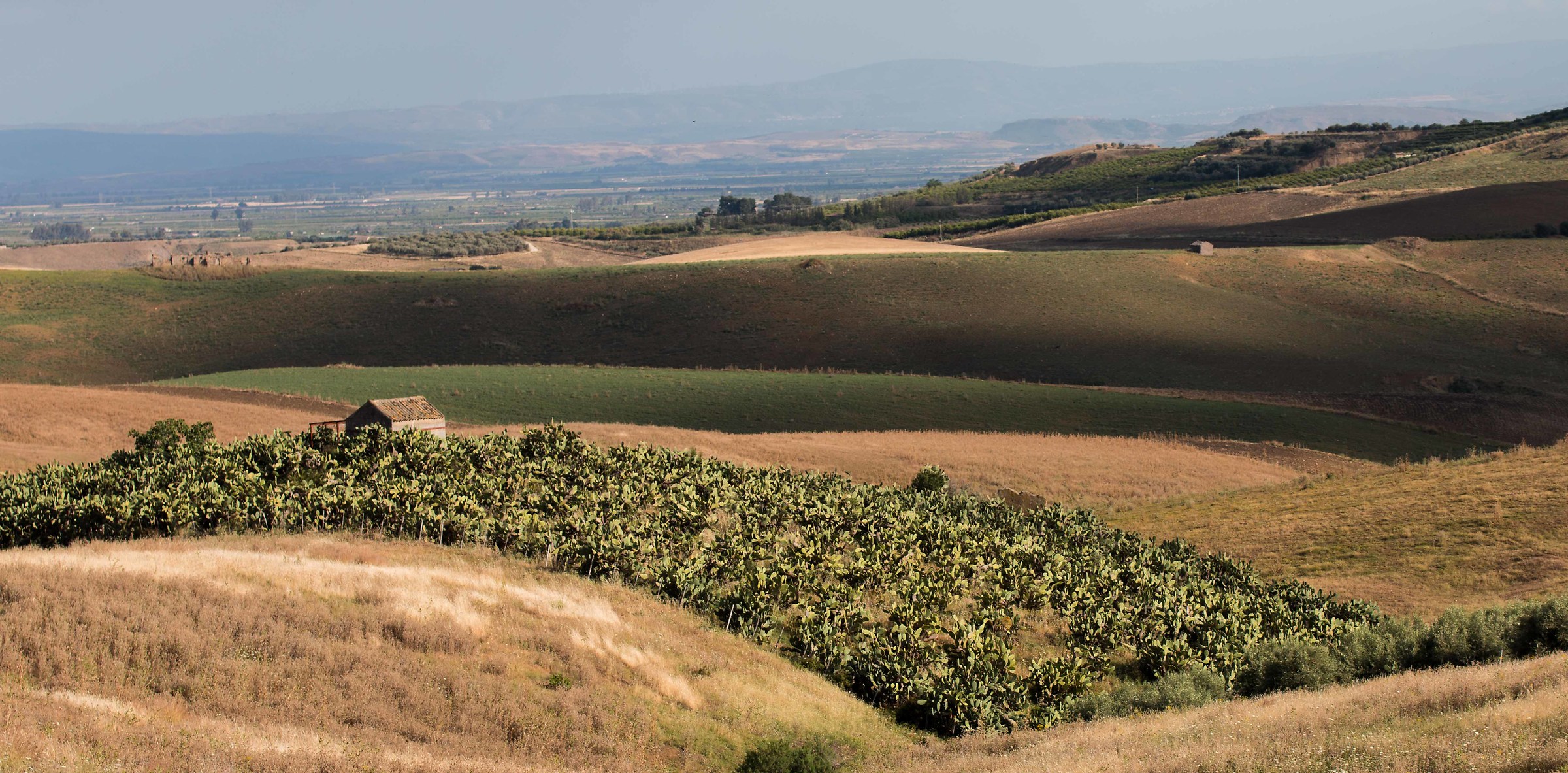 Sunset in countryside 1
