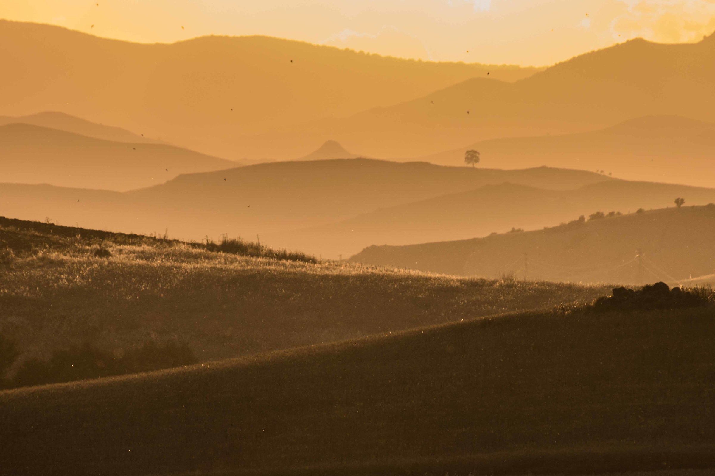 Sunset in countryside 1