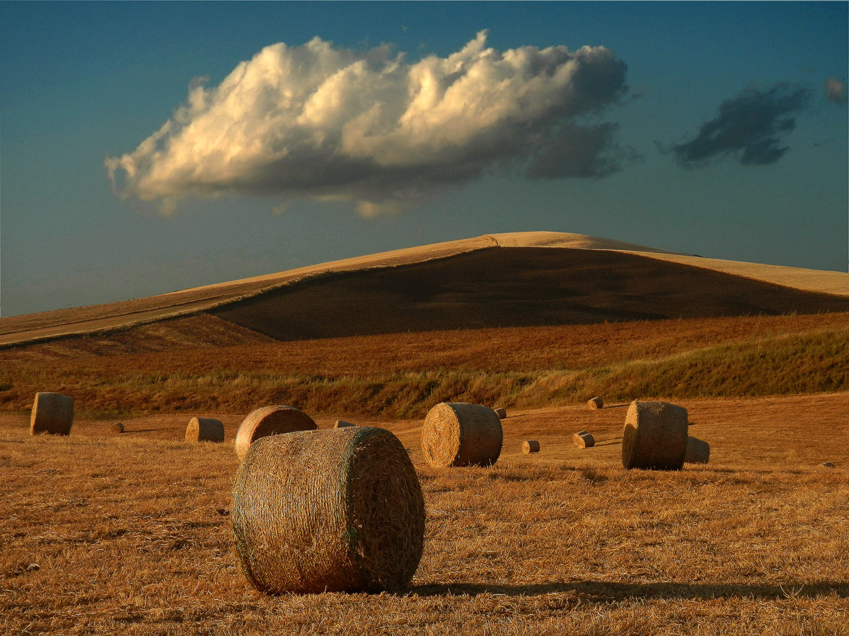 lights of the sunset on the field