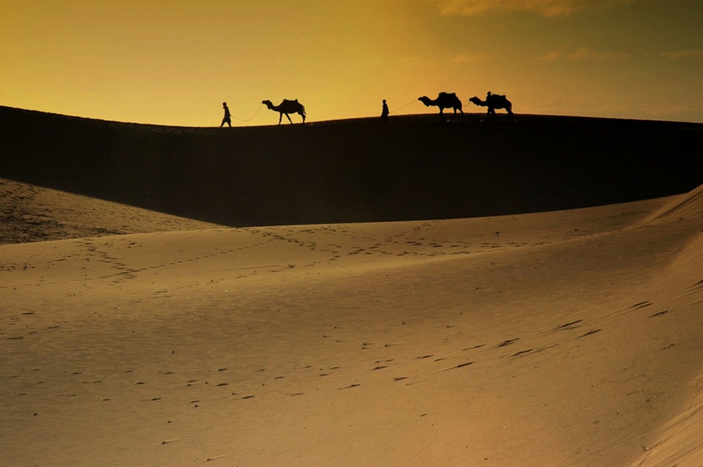 Caravanserai - Tribute to Carlos Santana