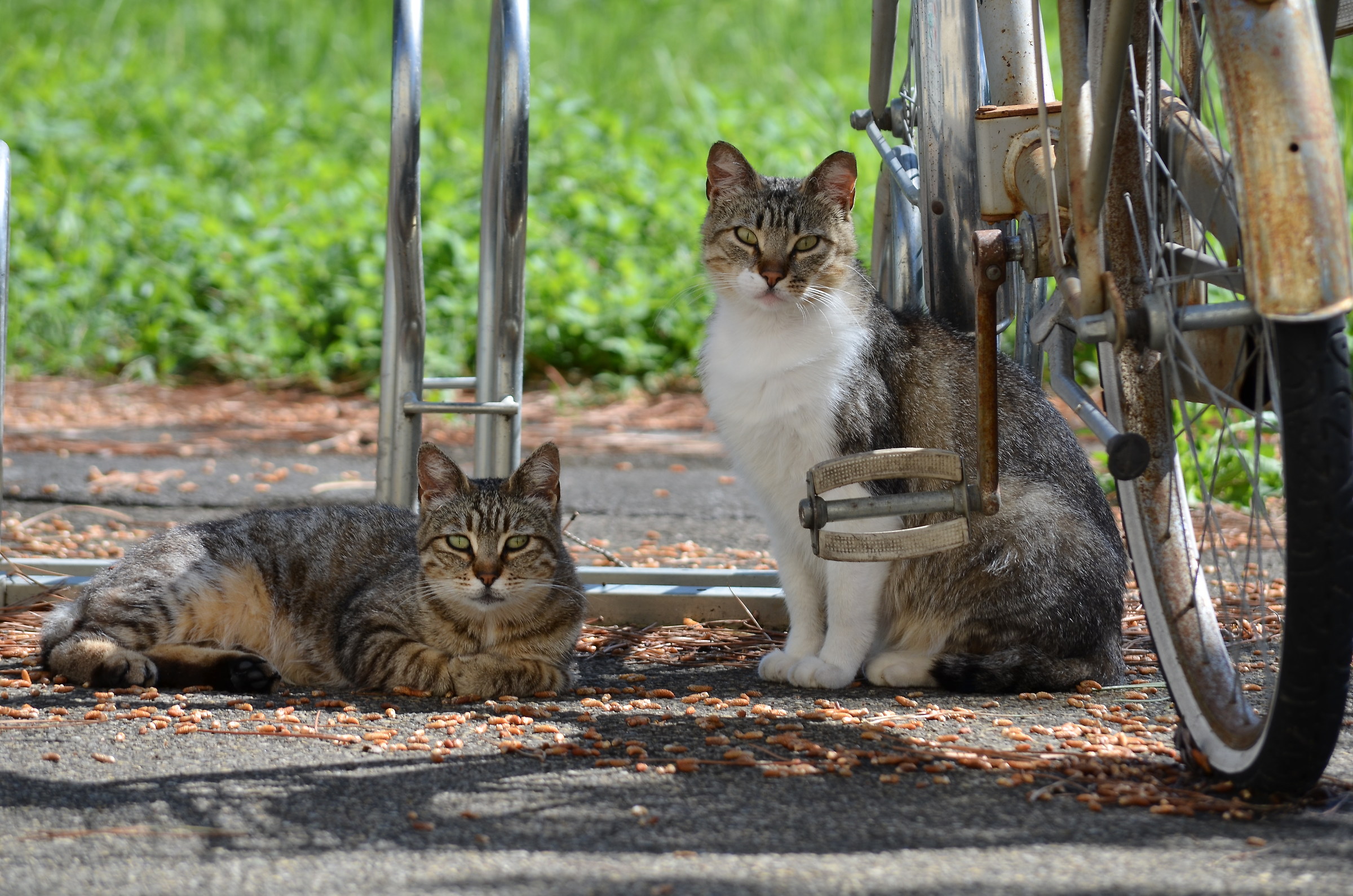 Siamo molto curiosi!