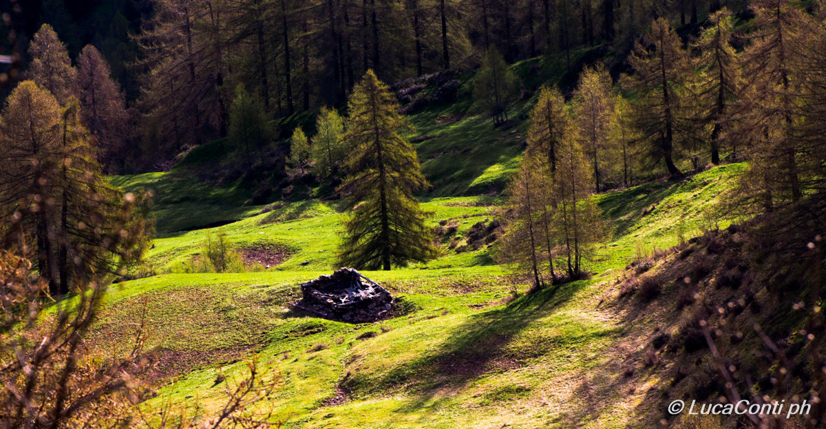 Alpe Artino (valsassina)