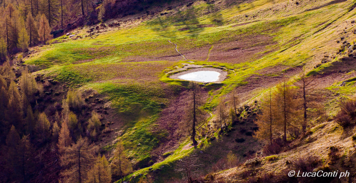 Alpe Artino (valsassina)