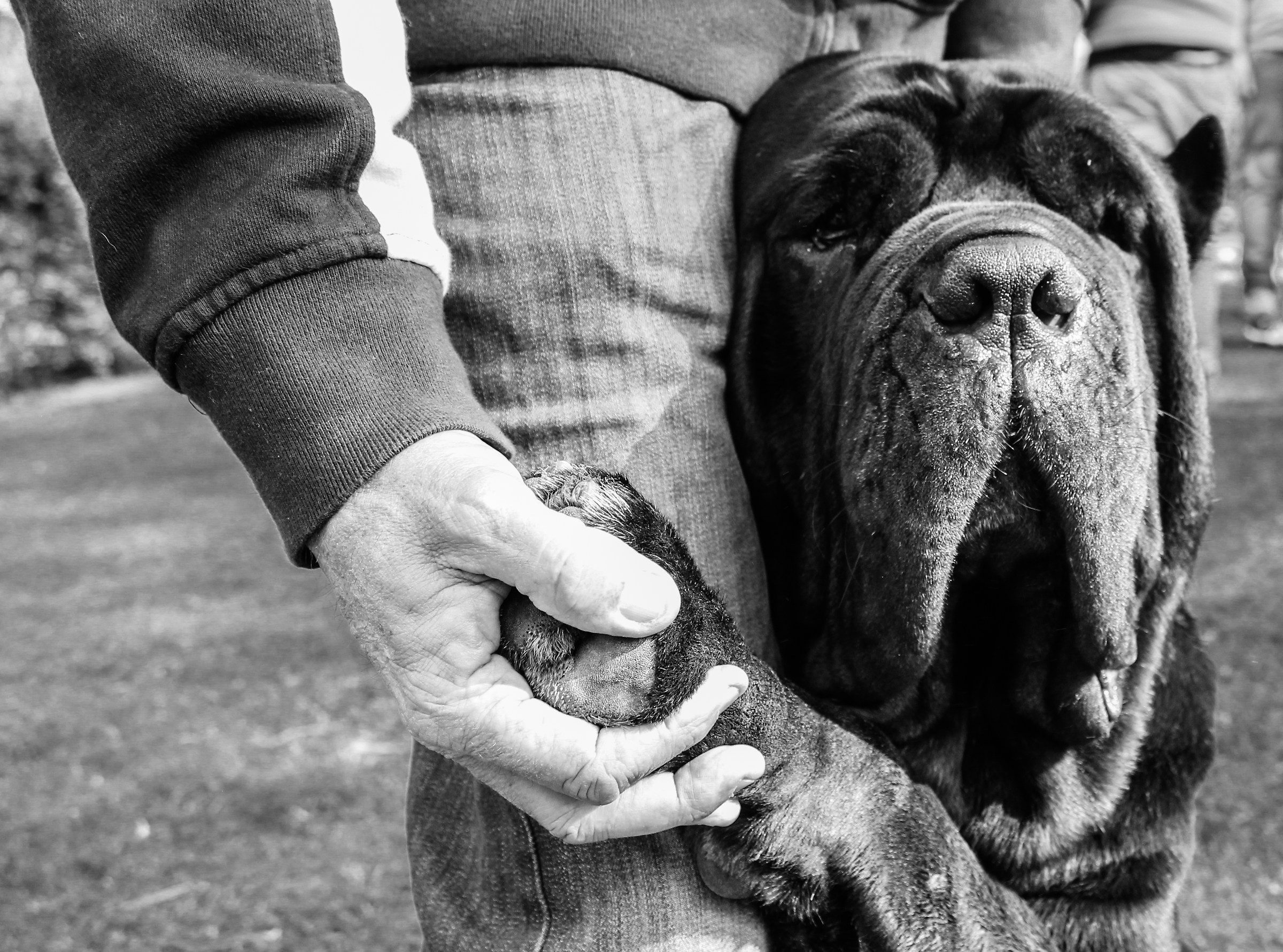 Give me your paw ...