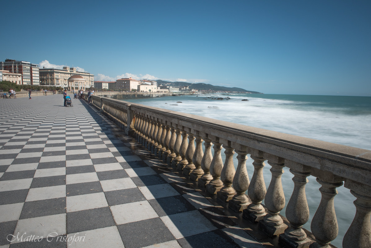 View from the terrace