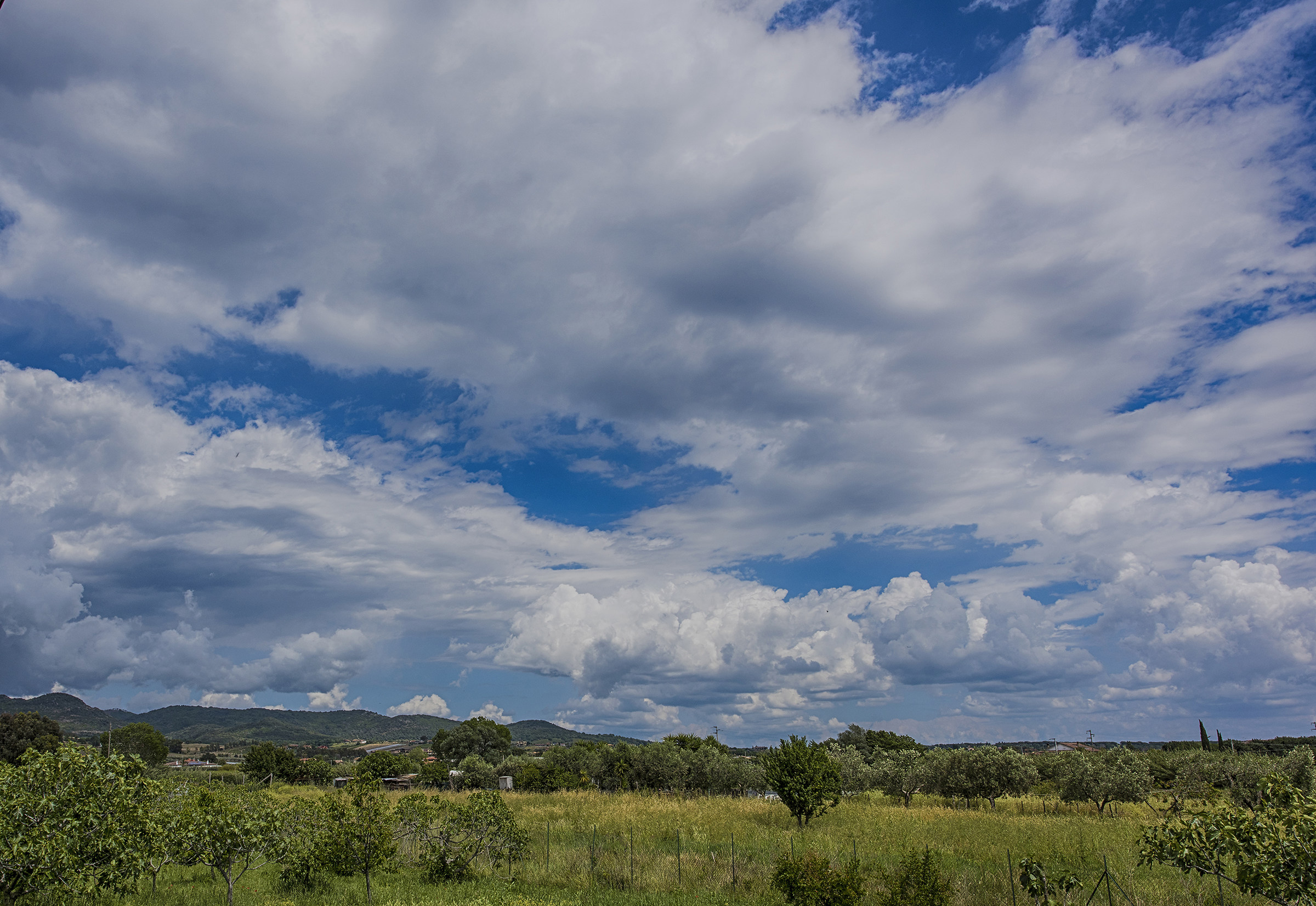 Cerveteri countryside