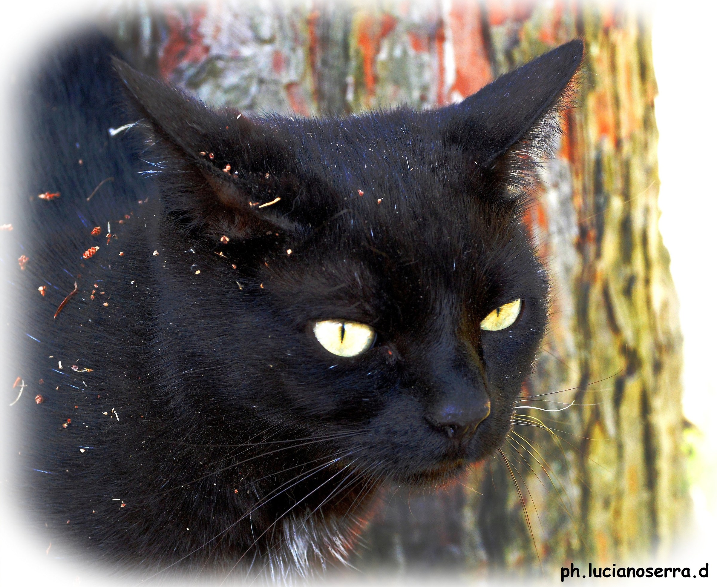 I rolled ... a bit '... everywhere ...