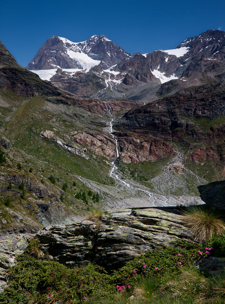 Lace Argient and Zupo