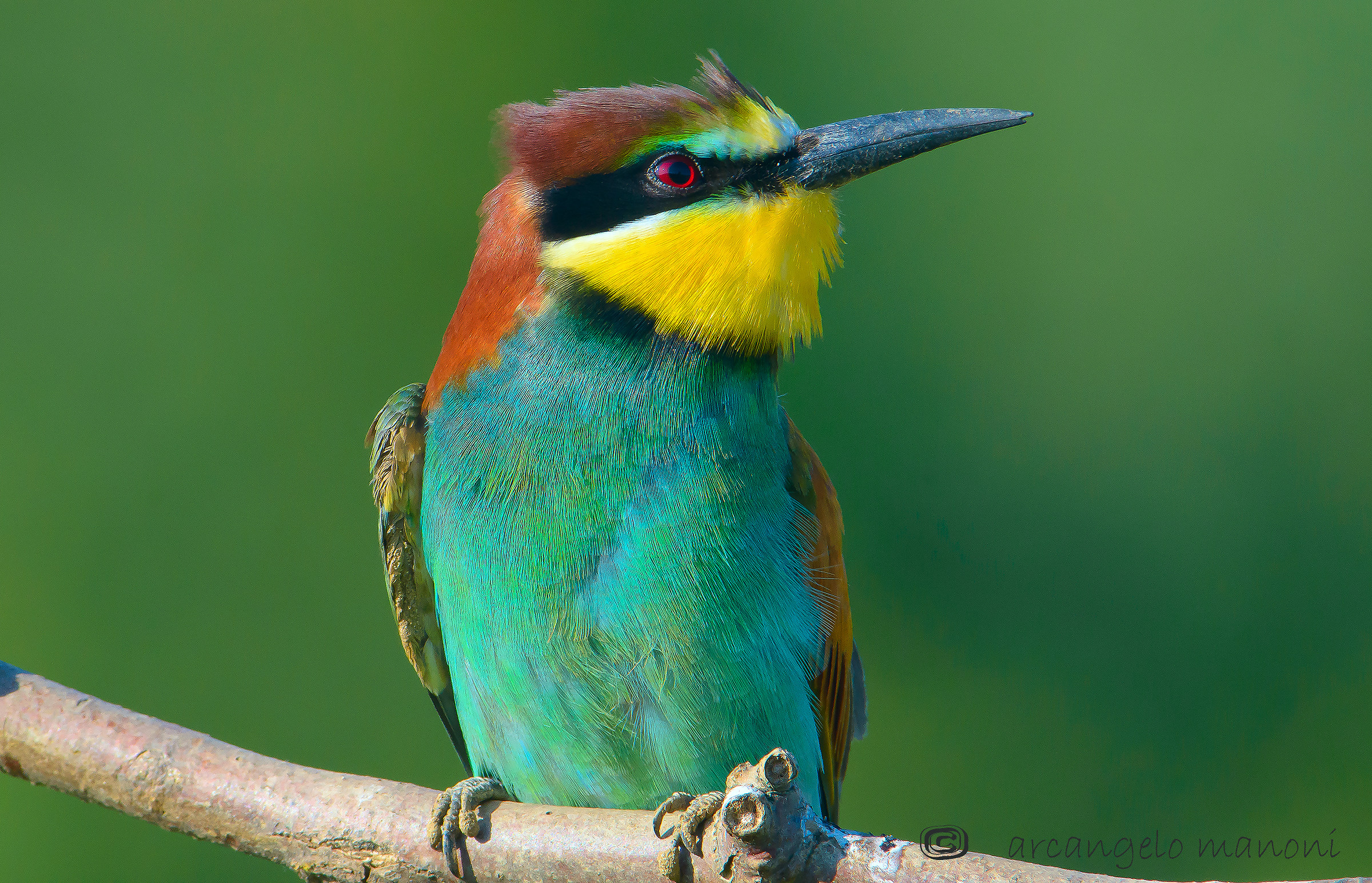 Spettinato dal vento