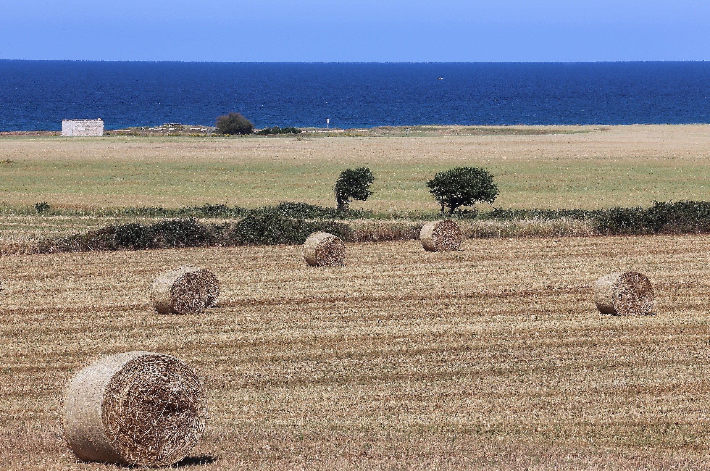 rolling towards the sea