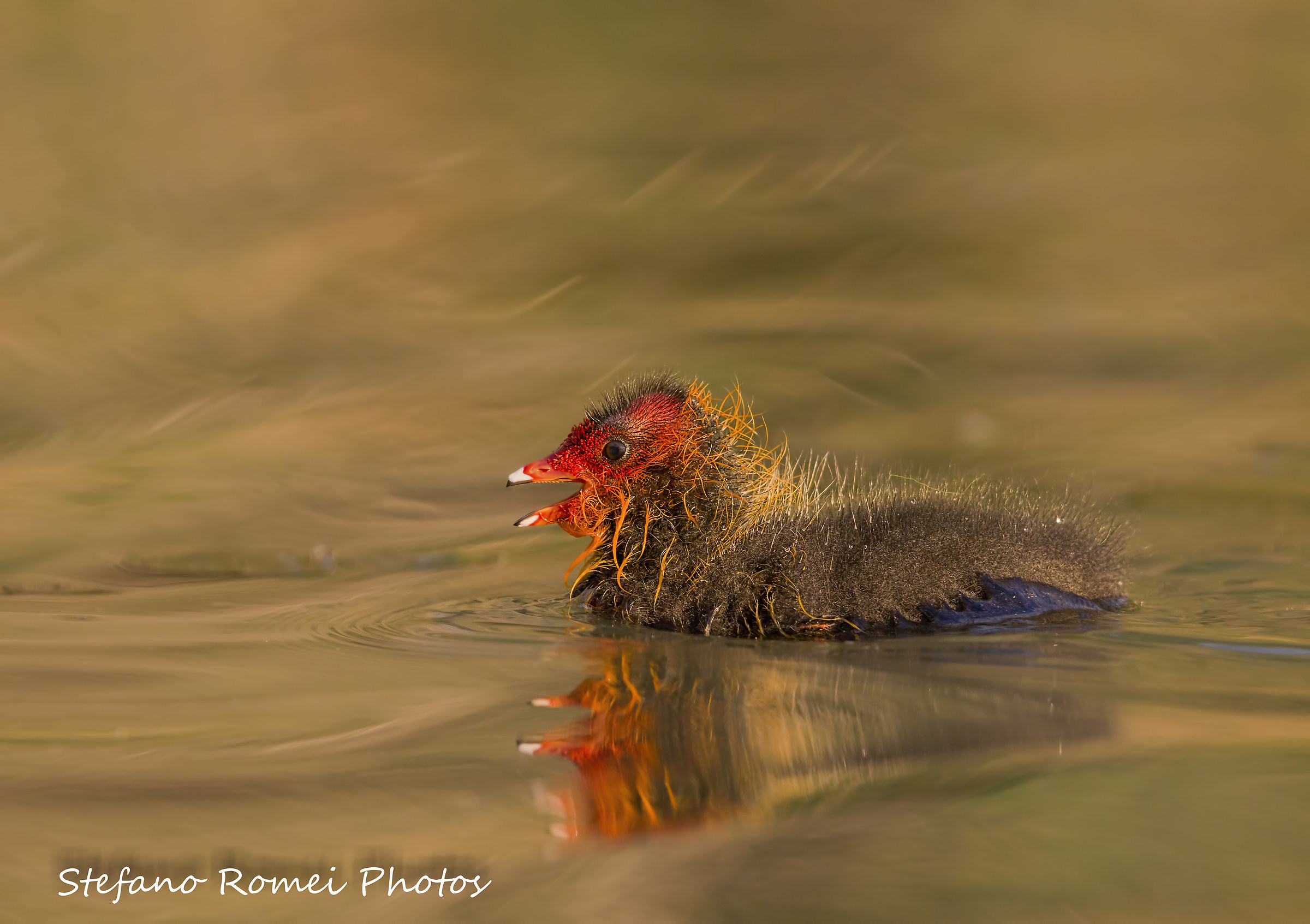 5dsr crop 2000iso HD4000px