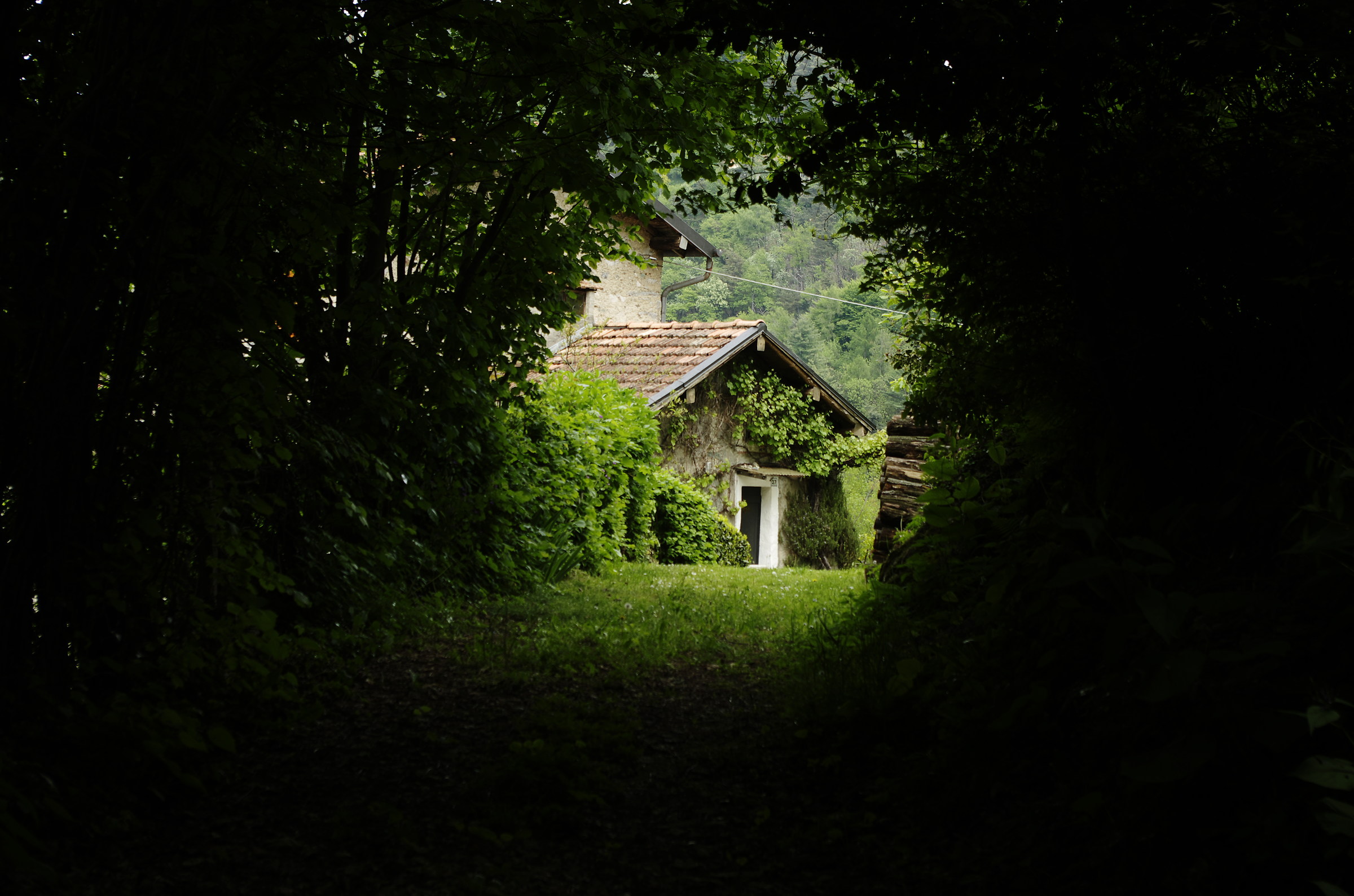 the little house over there in the woods