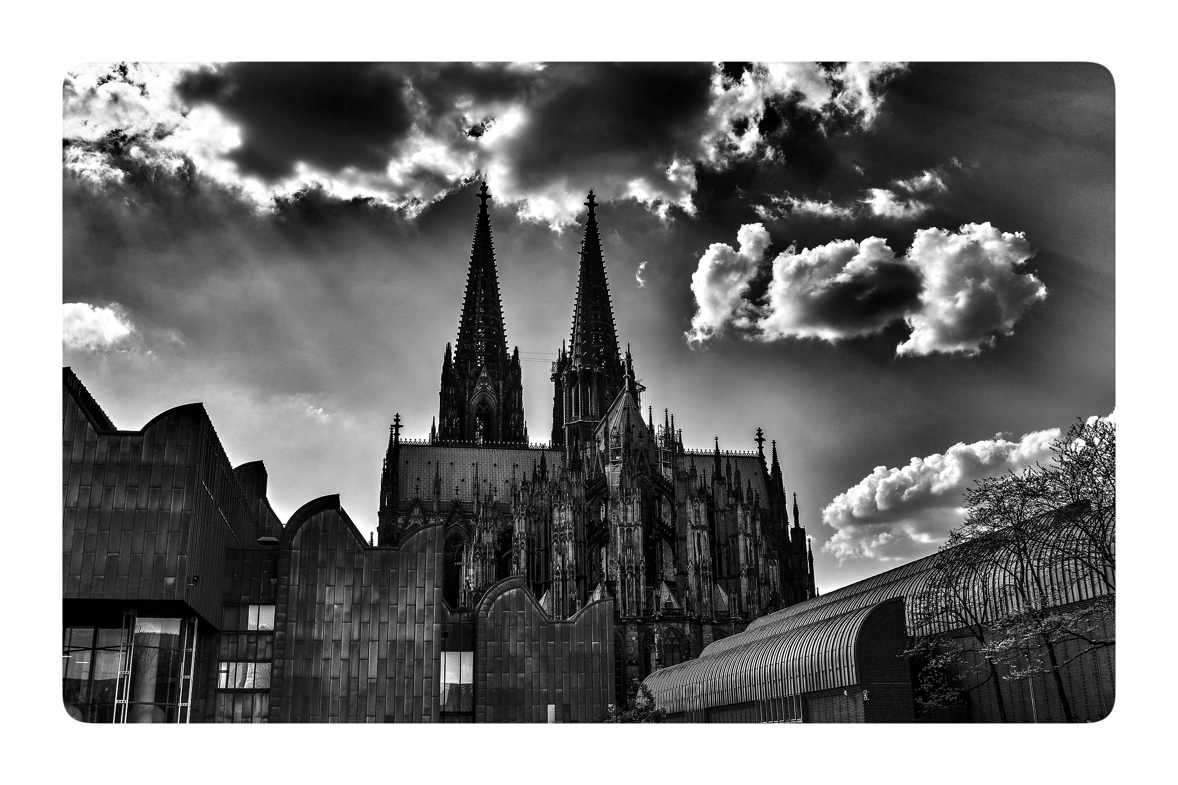 Cologne - The Cathedral