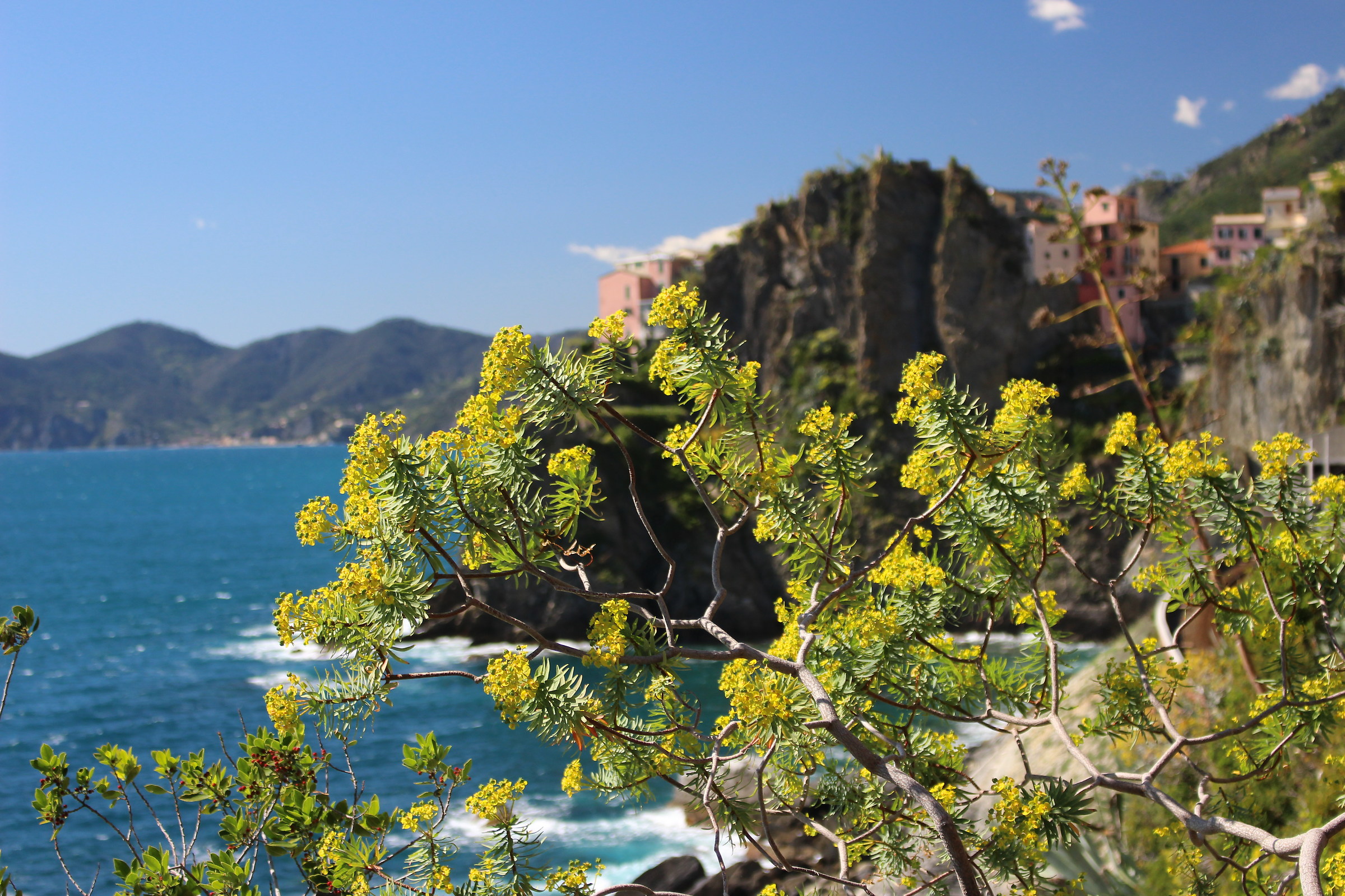 Manarola..dal basso...