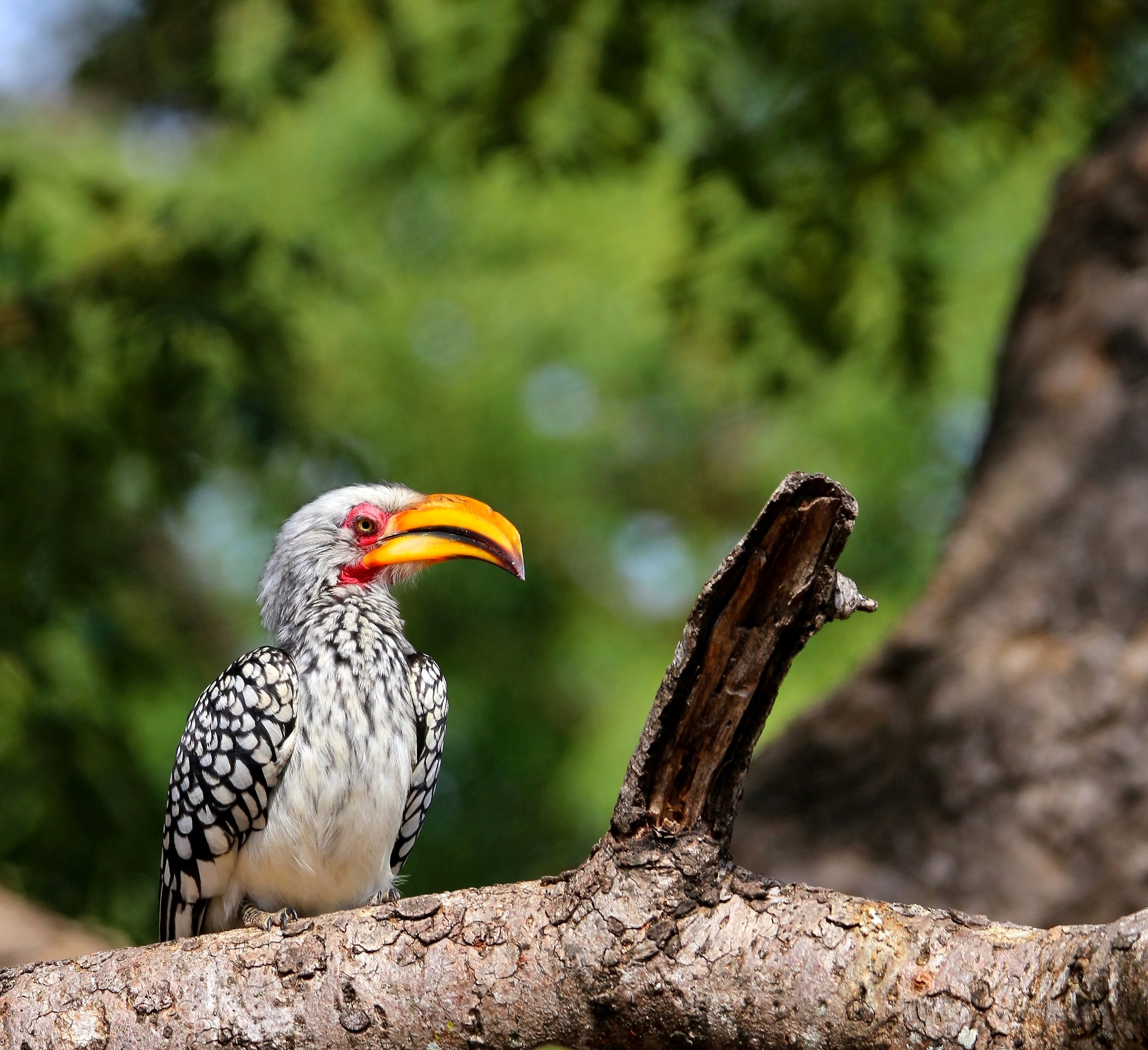 Beautiful and Damned ...