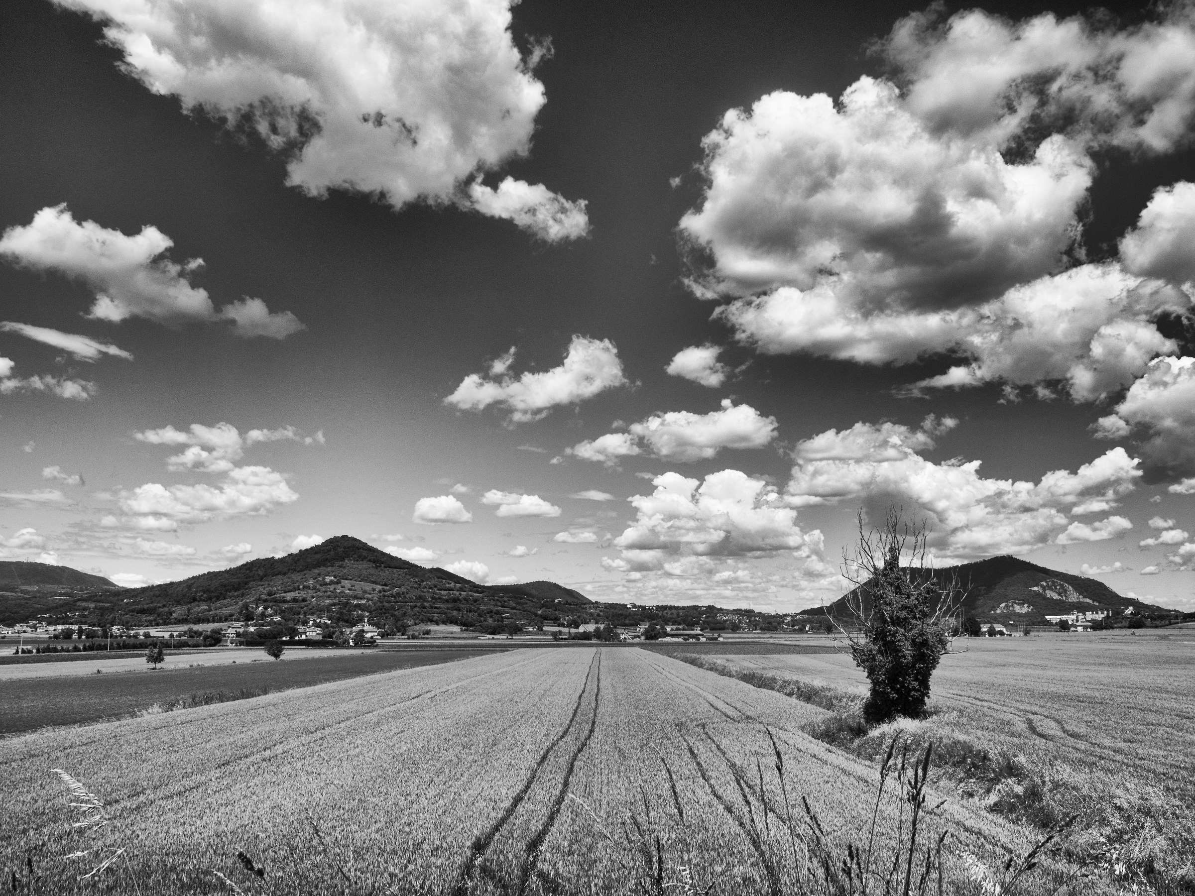 Opposti per natura, cielo e terra