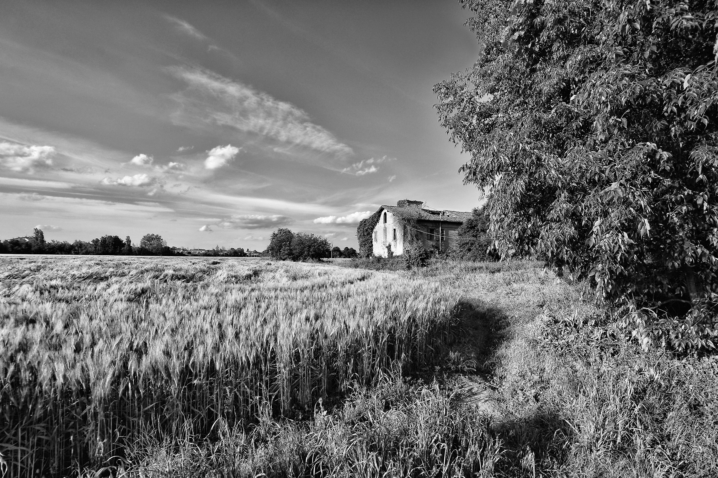 Campaign in black and white