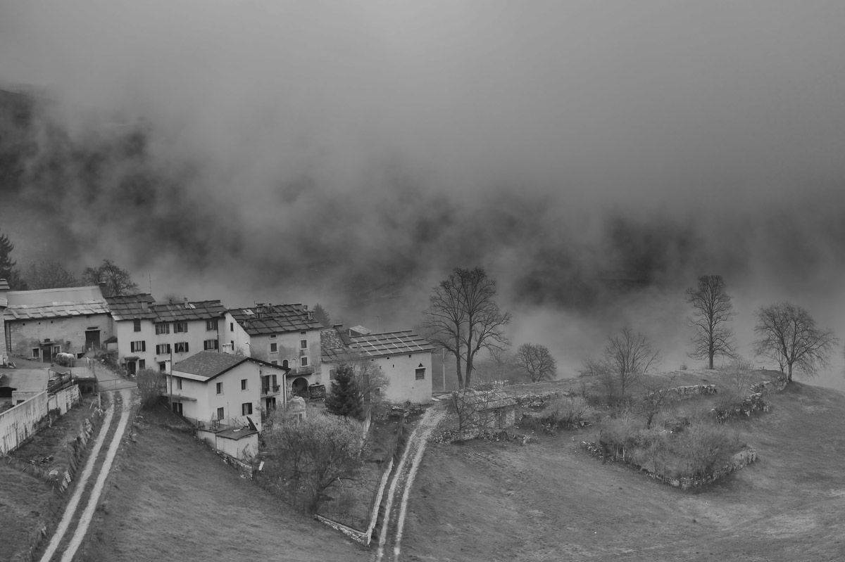 bosco chiesanuova - borgo - verona