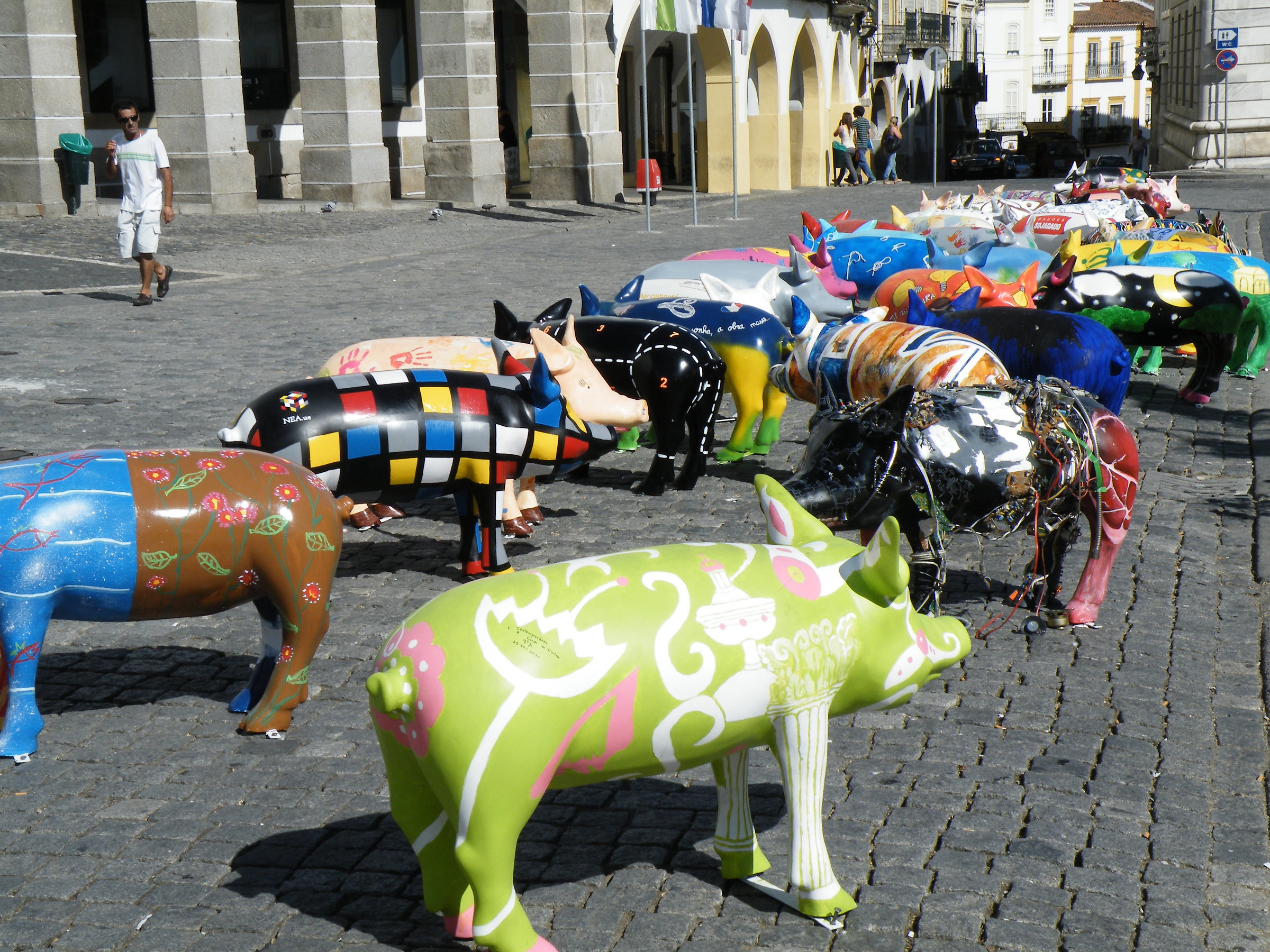 Evora sigolare mostra di maialini