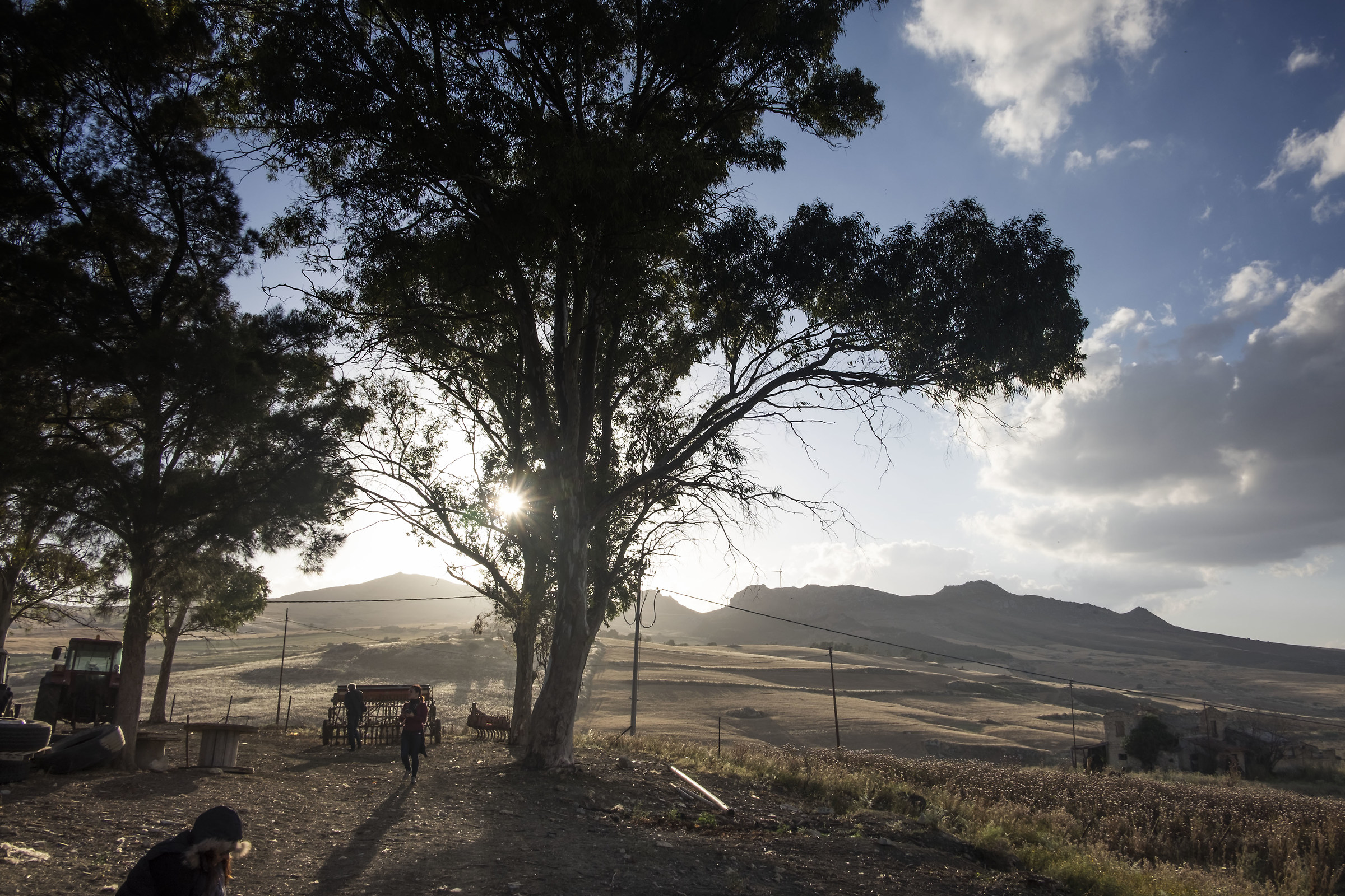 Sicilian countryside 1