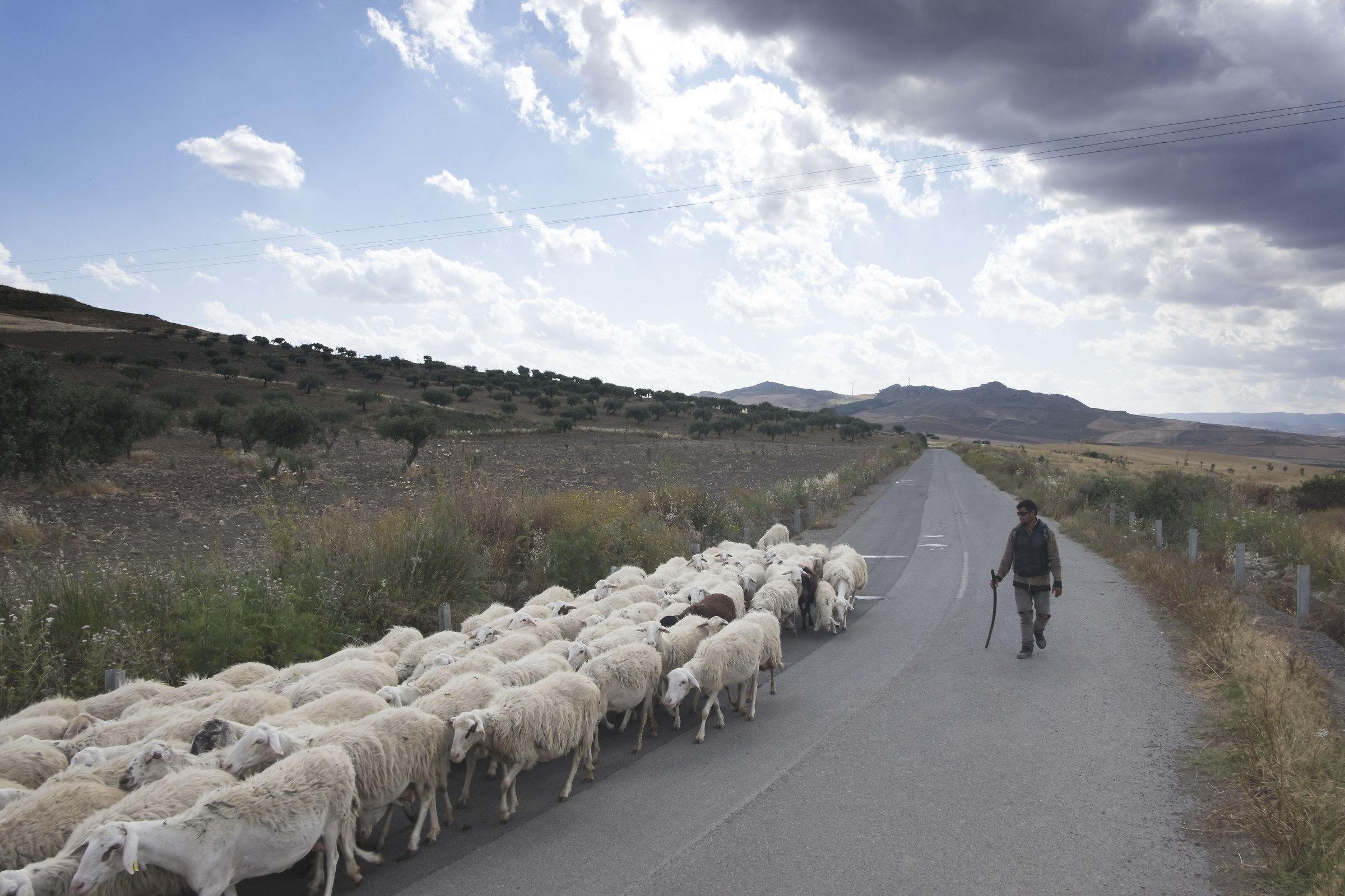 Sicilian countryside 1