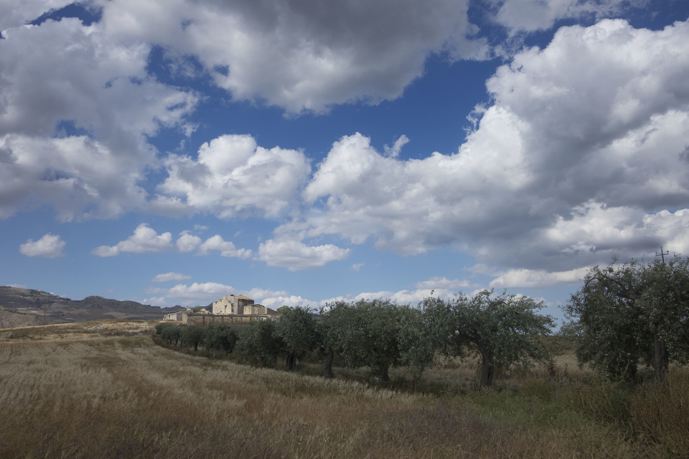 Sicilian countryside 4