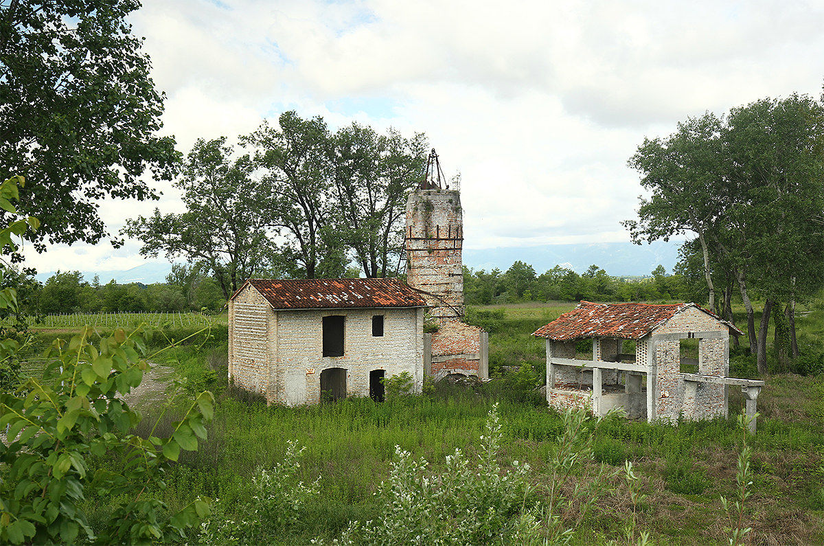 Farmhouses in the vineyard