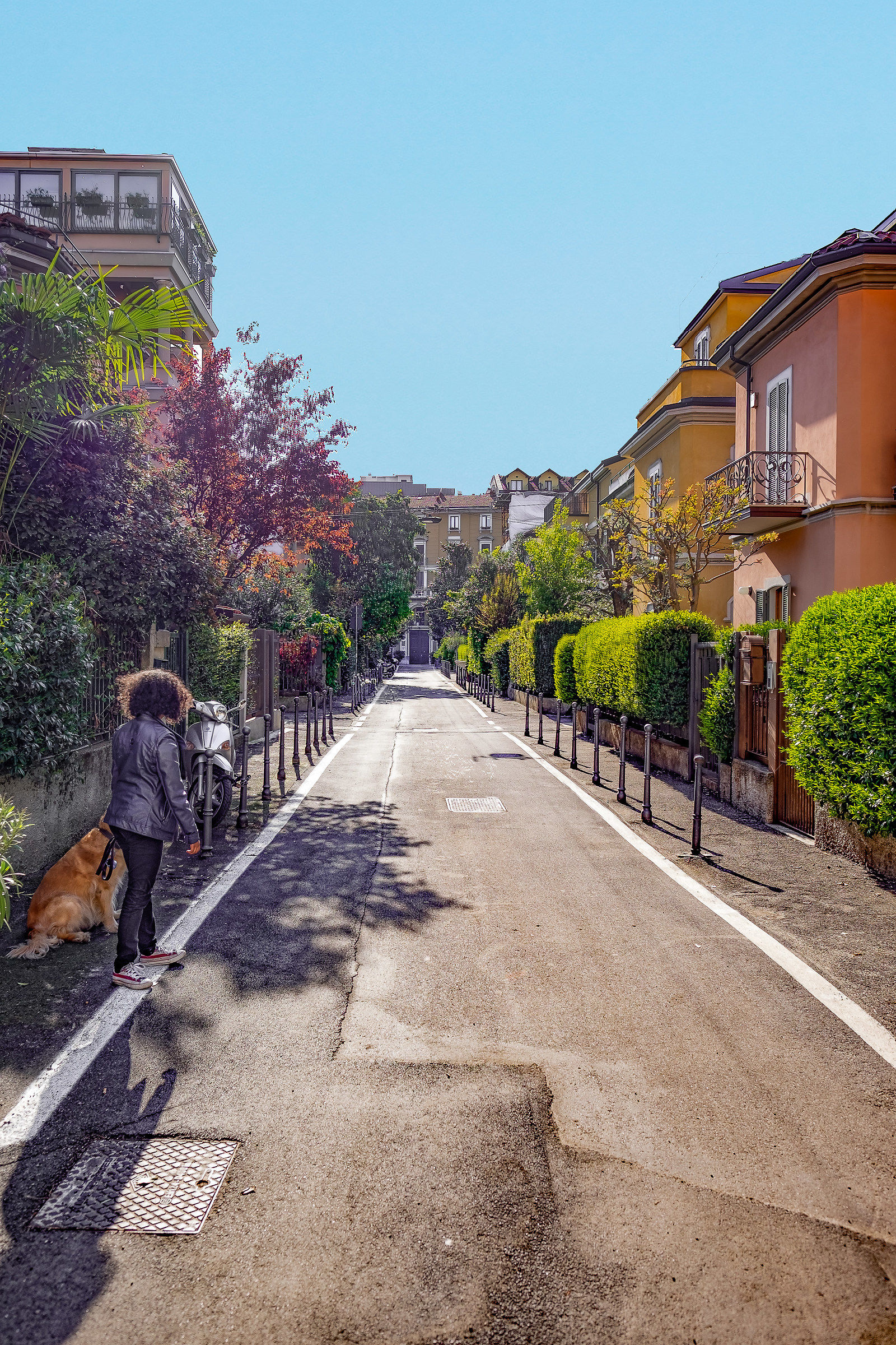 The colors of Via Lincoln 1