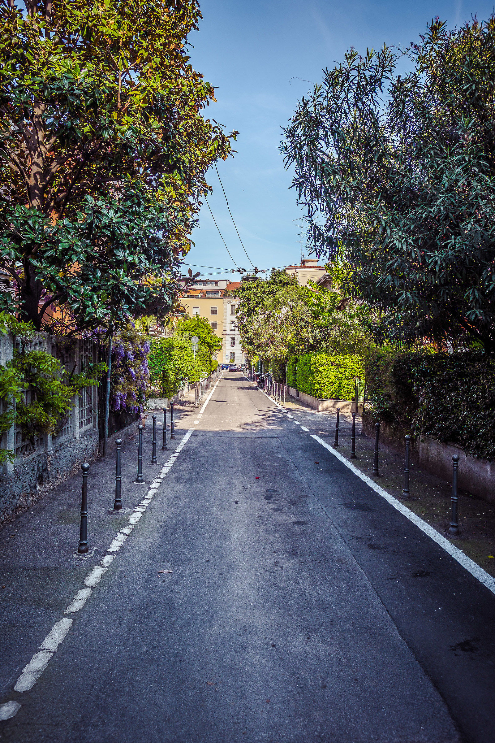 The colors of Via Lincoln 4