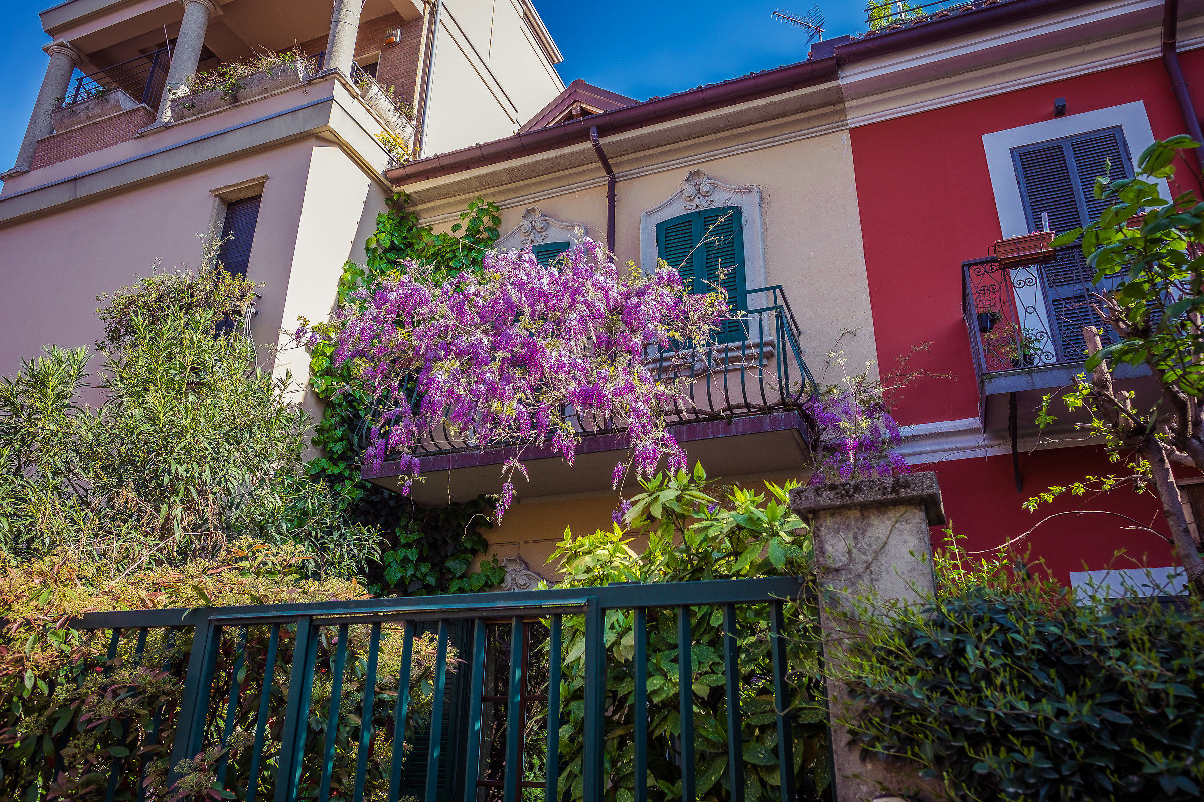 The colors of Via Lincoln 6