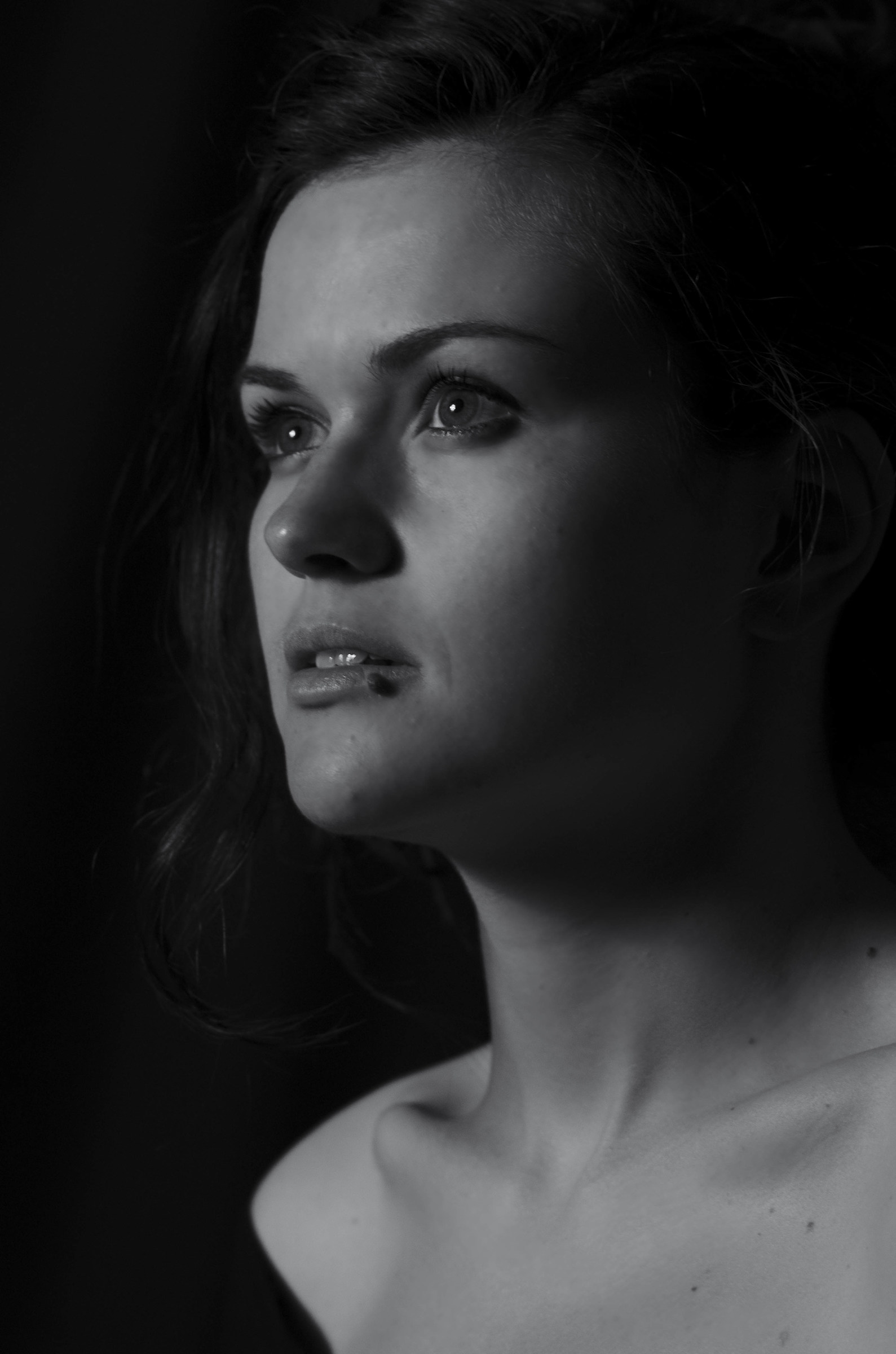 Evidence of Rembrandt 2