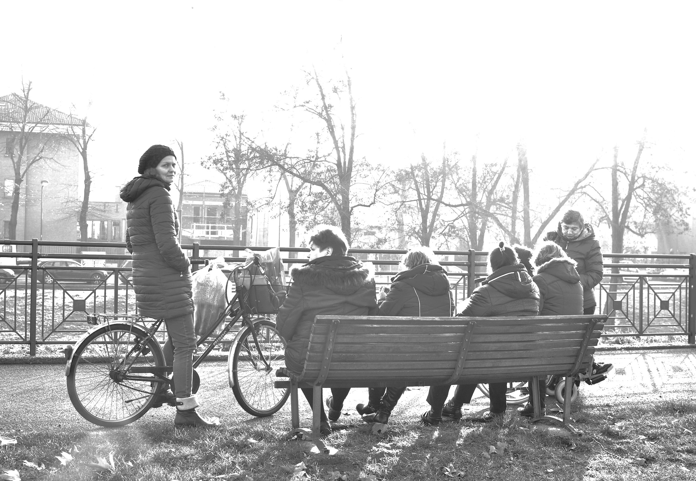 Strolling in backlight