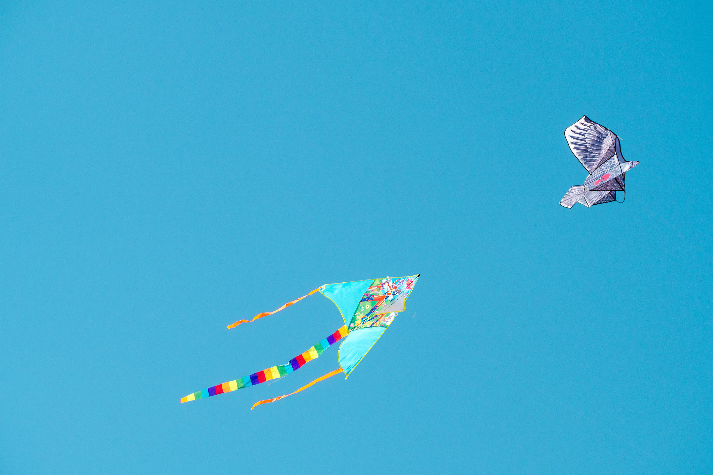 Kites in People's Park