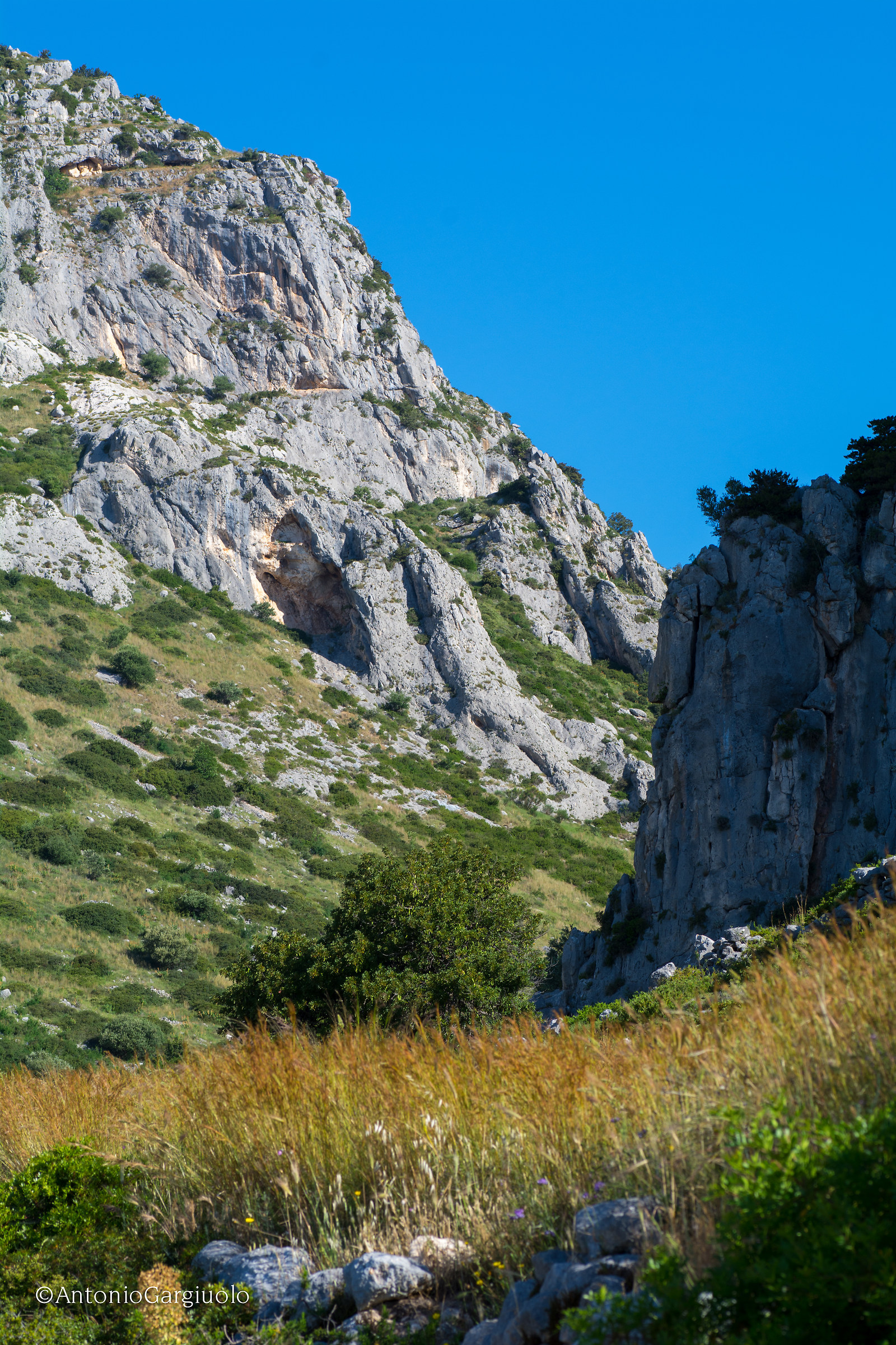 Il vallone e gli Eremi di Pulsano