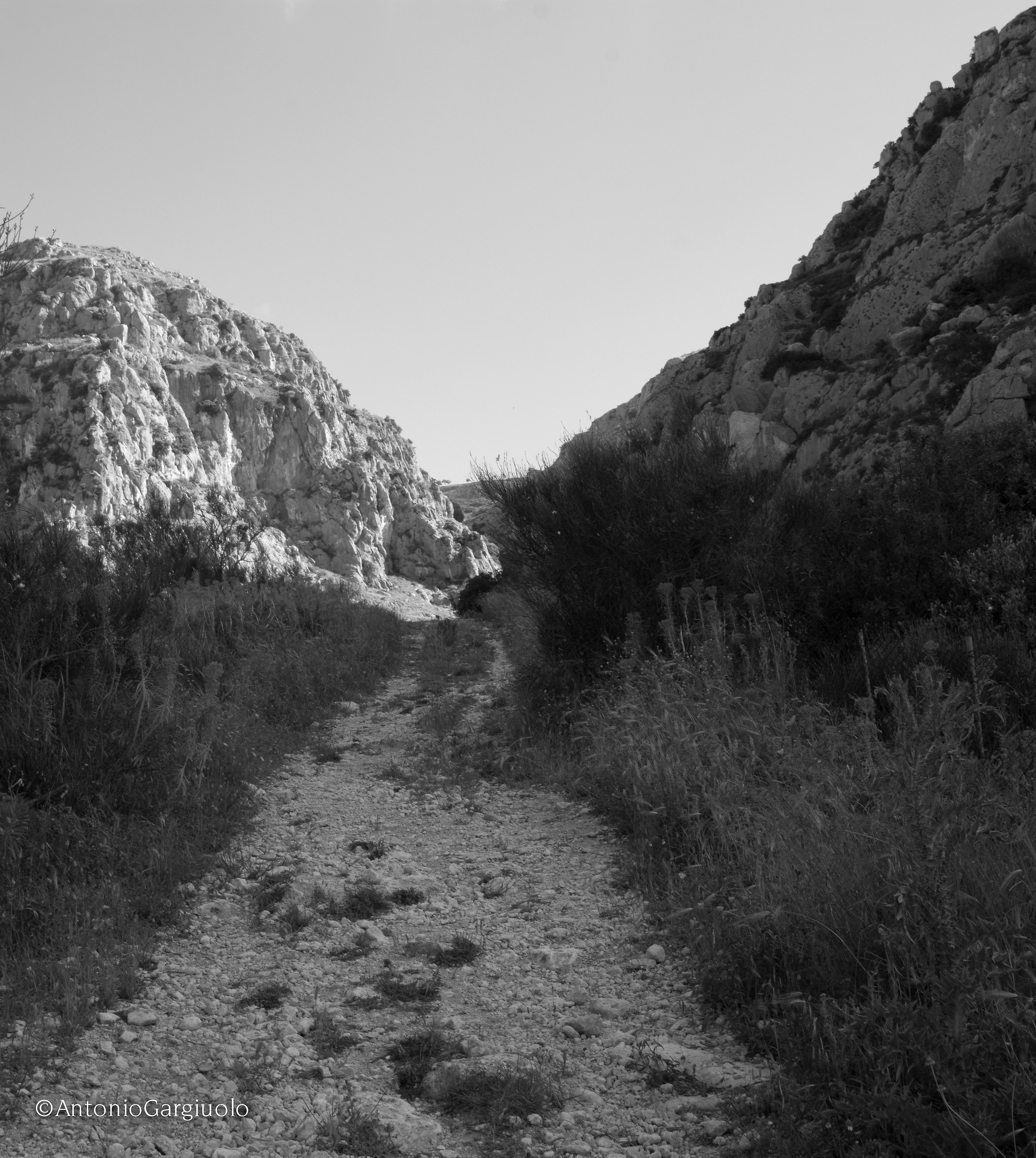 Il vallone e gli Eremi di Pulsano