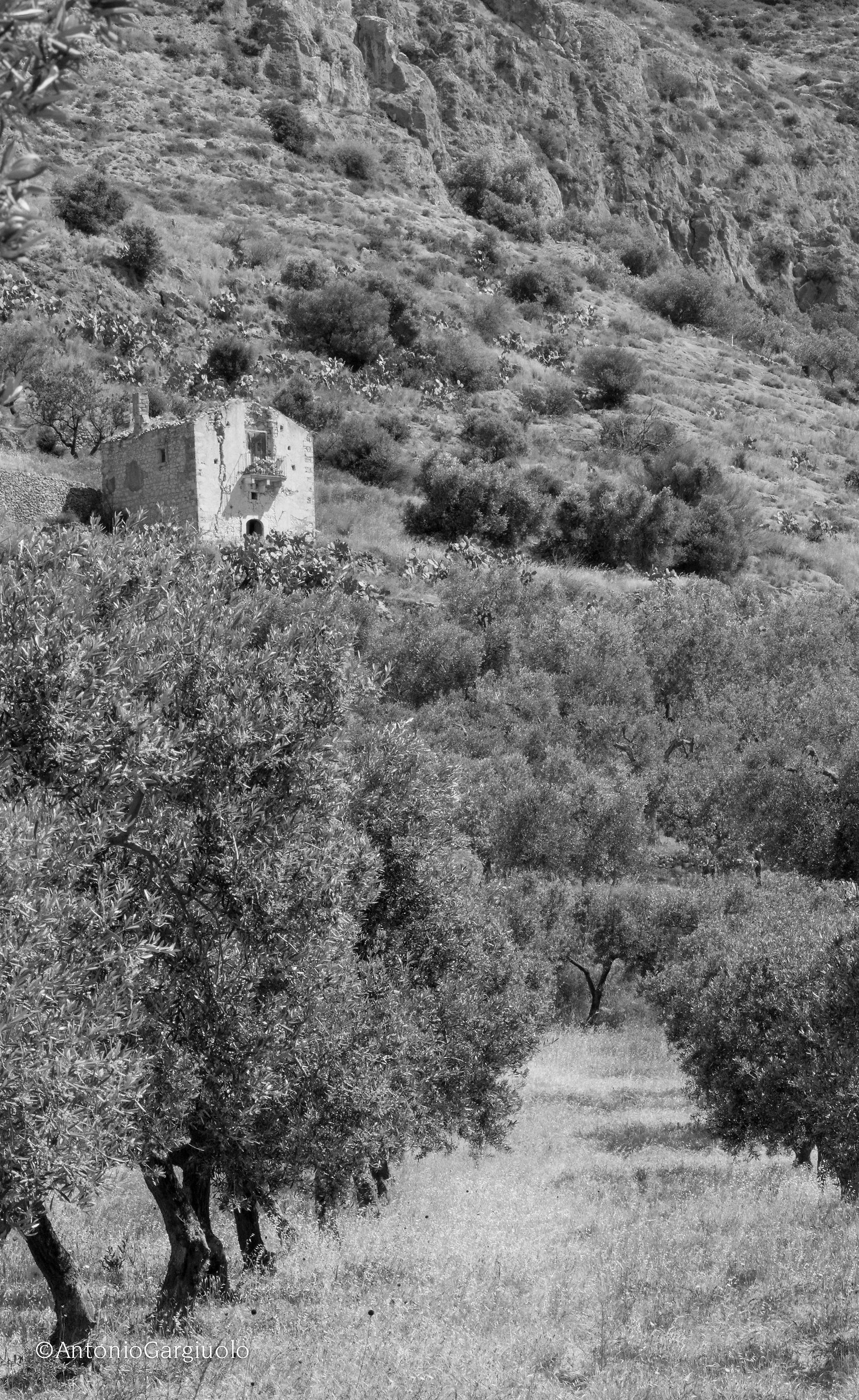 Il vallone e gli Eremi di Pulsano