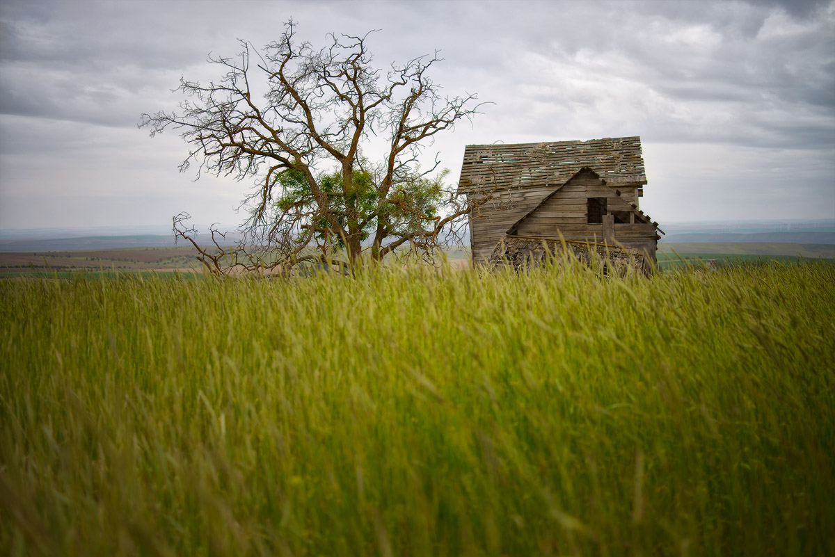 Goodnoe Ghost Town, WA