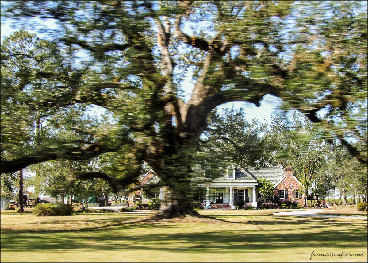 ... dolcemente viaggiare