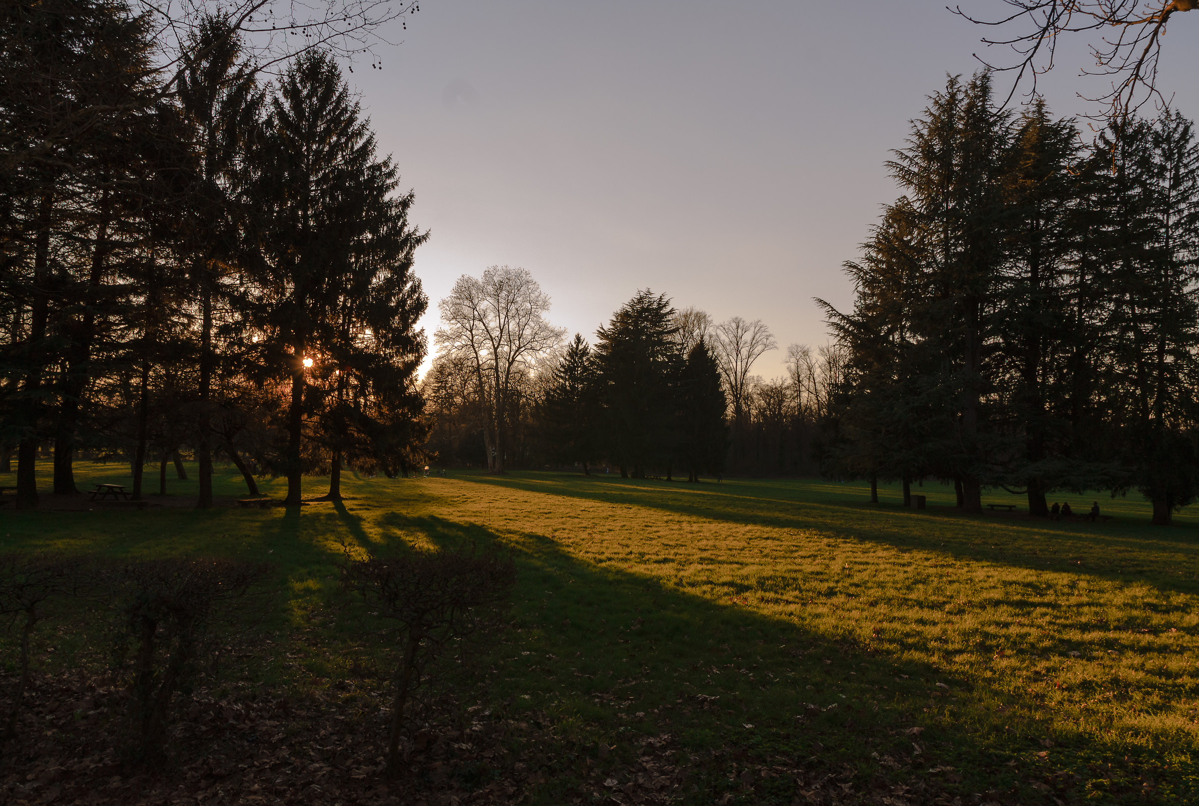 the park at sunset