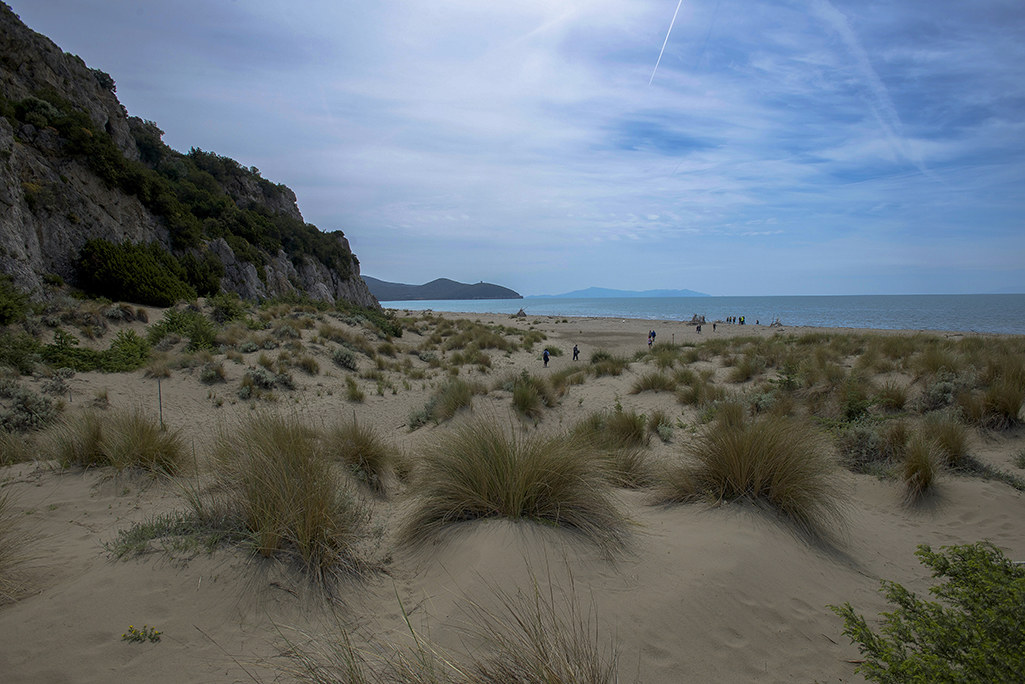 Natural Park of Maremma 3