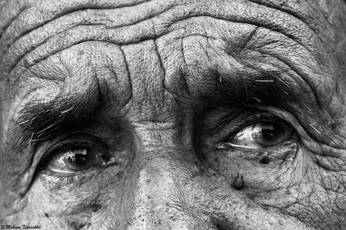 Il suo sguardo traballante!