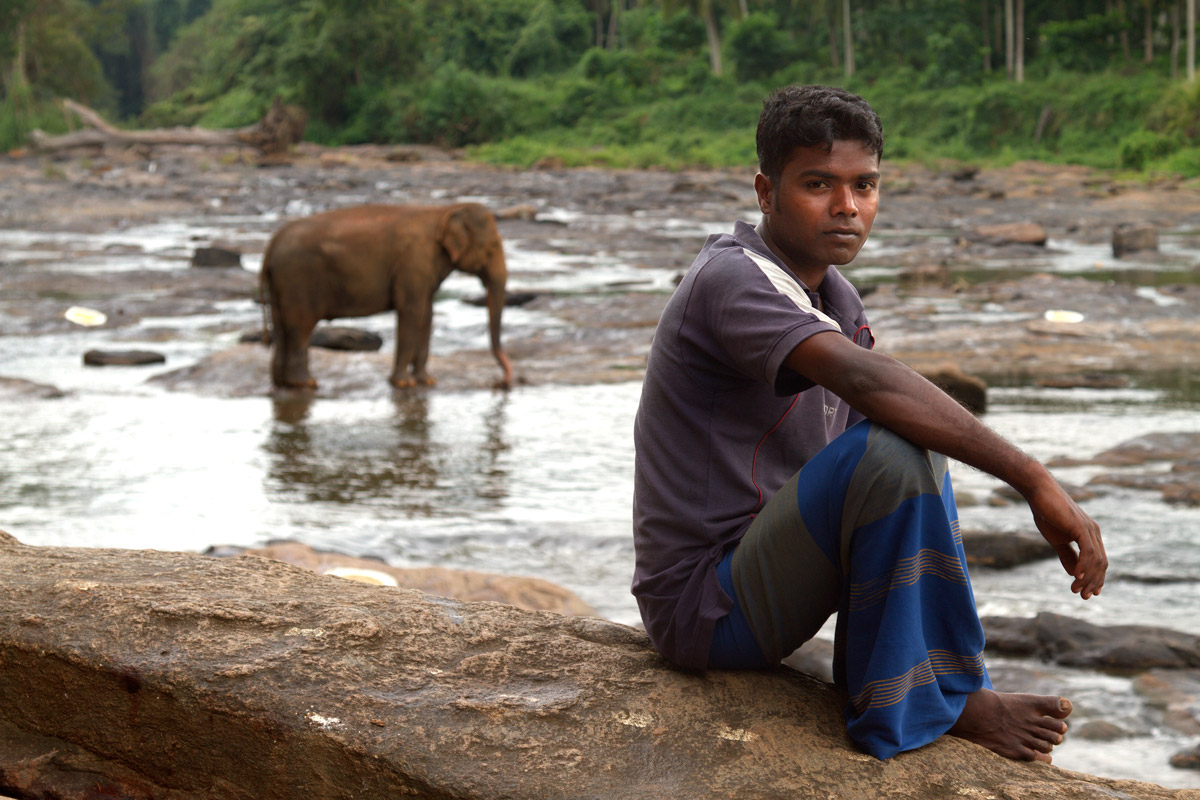 Mahout e l'elefante